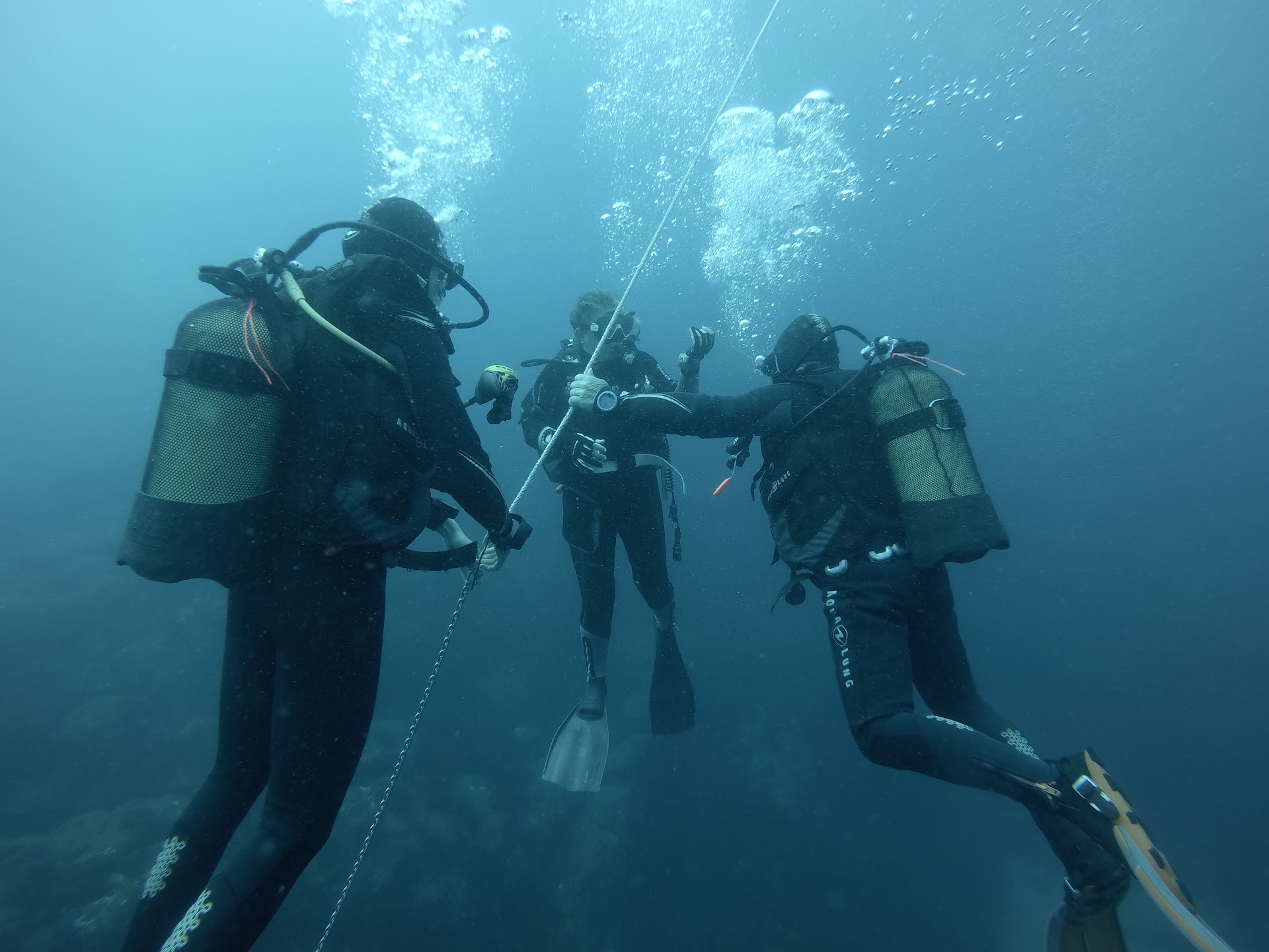 Best Spot Azores - SSI & PADI Dive Center