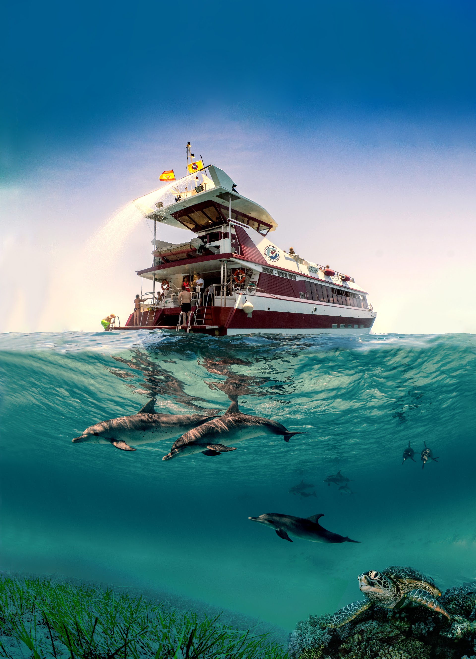 Royal Delfin Catamaran