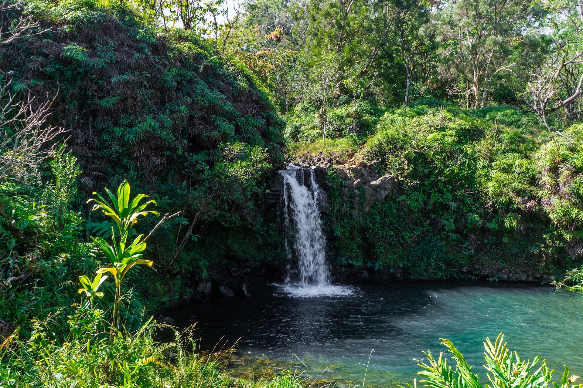 Waterfall, Chocolate Tour, Rainforest, Historical Sites