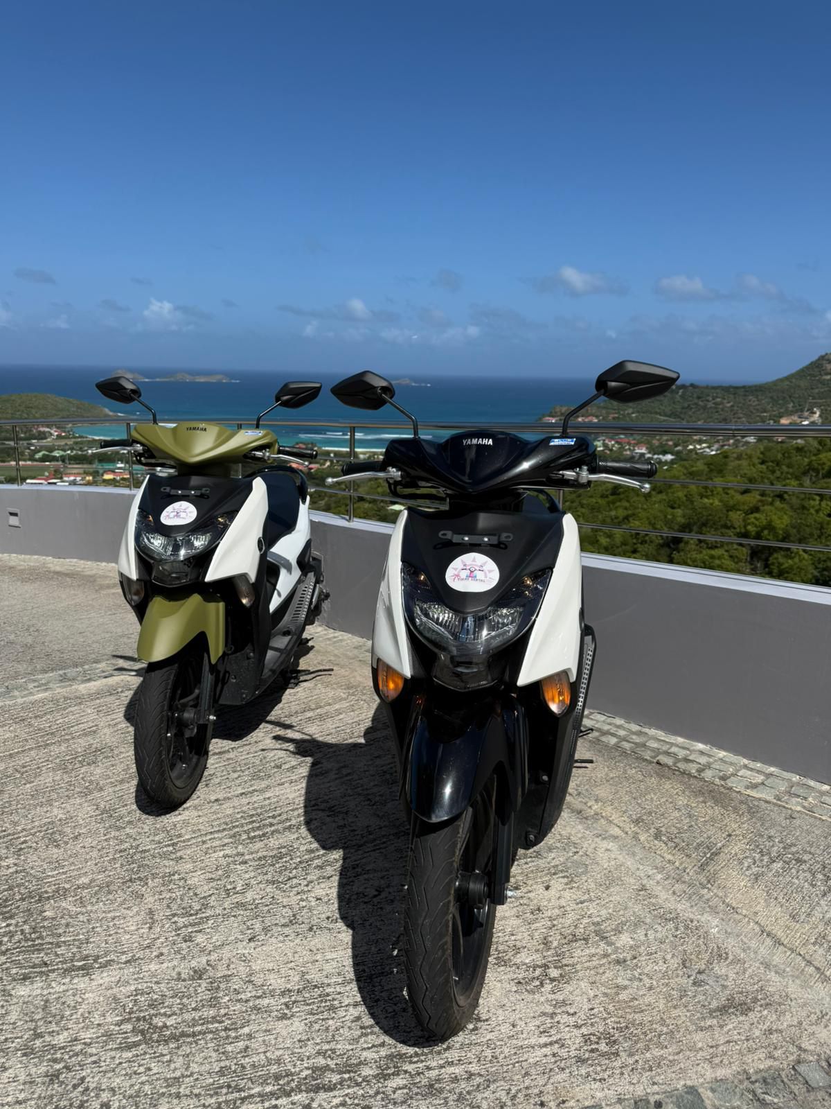 Timax Rental