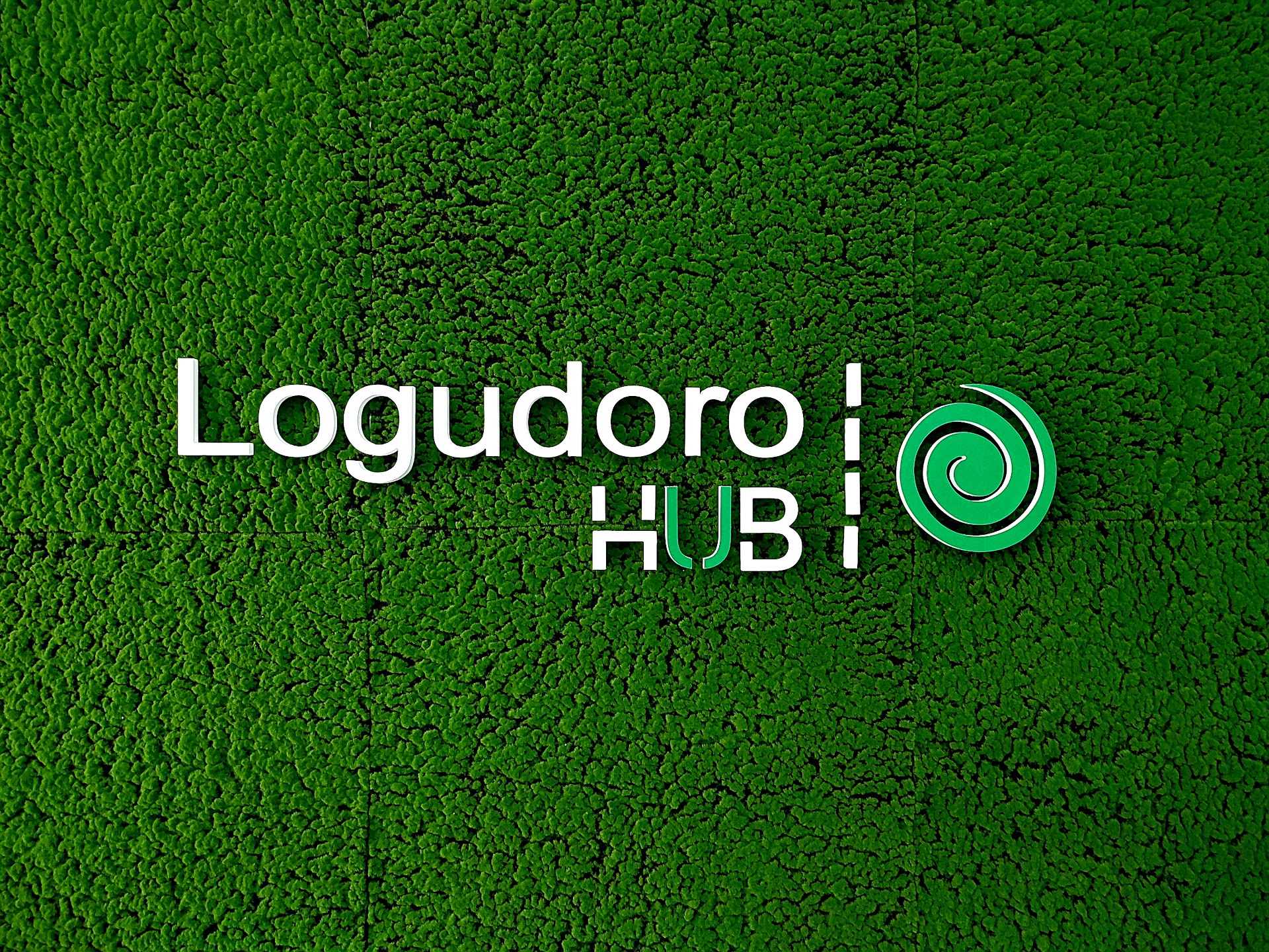 𝗟𝗼𝗴𝘂𝗱𝗼𝗿𝗼 𝗛𝘂𝗯 - 𝗖𝗼𝘄𝗼𝗿𝗸𝗶𝗻𝗴 𝗦𝗮𝗿𝗱𝗲𝗴𝗻𝗮