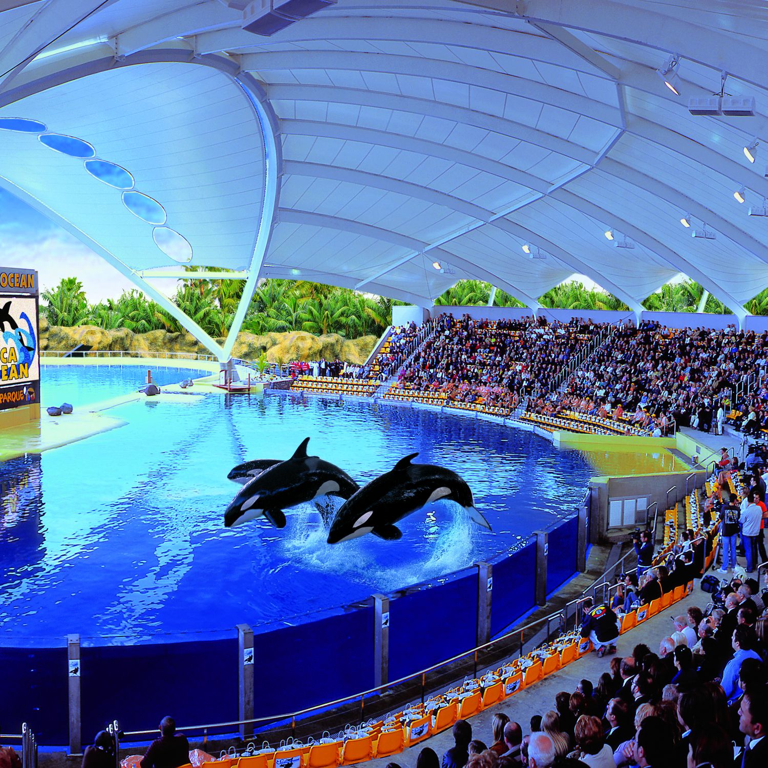 Top Tenerife Excursions Book Online