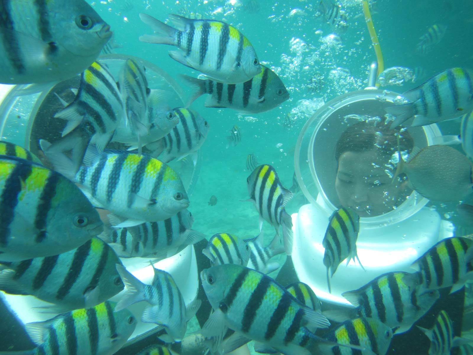 Water Sport by Wira Tour Bali (Office)