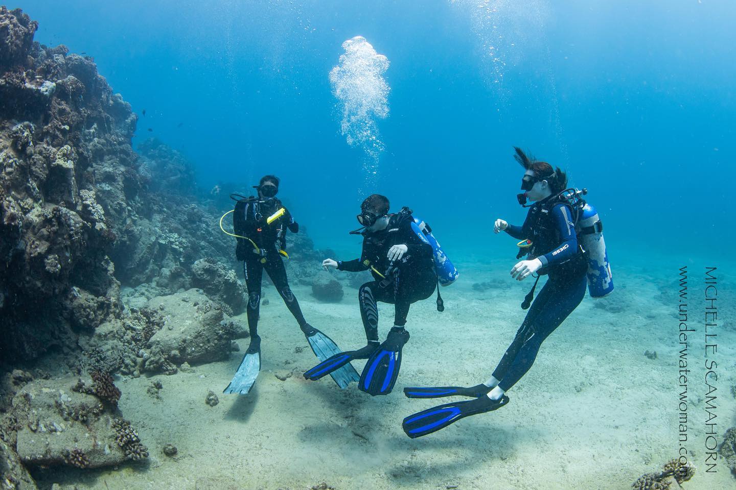 Kauai Dive Co