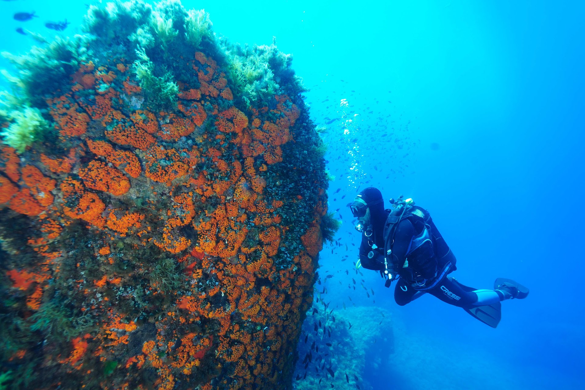 Diving Center Ustica