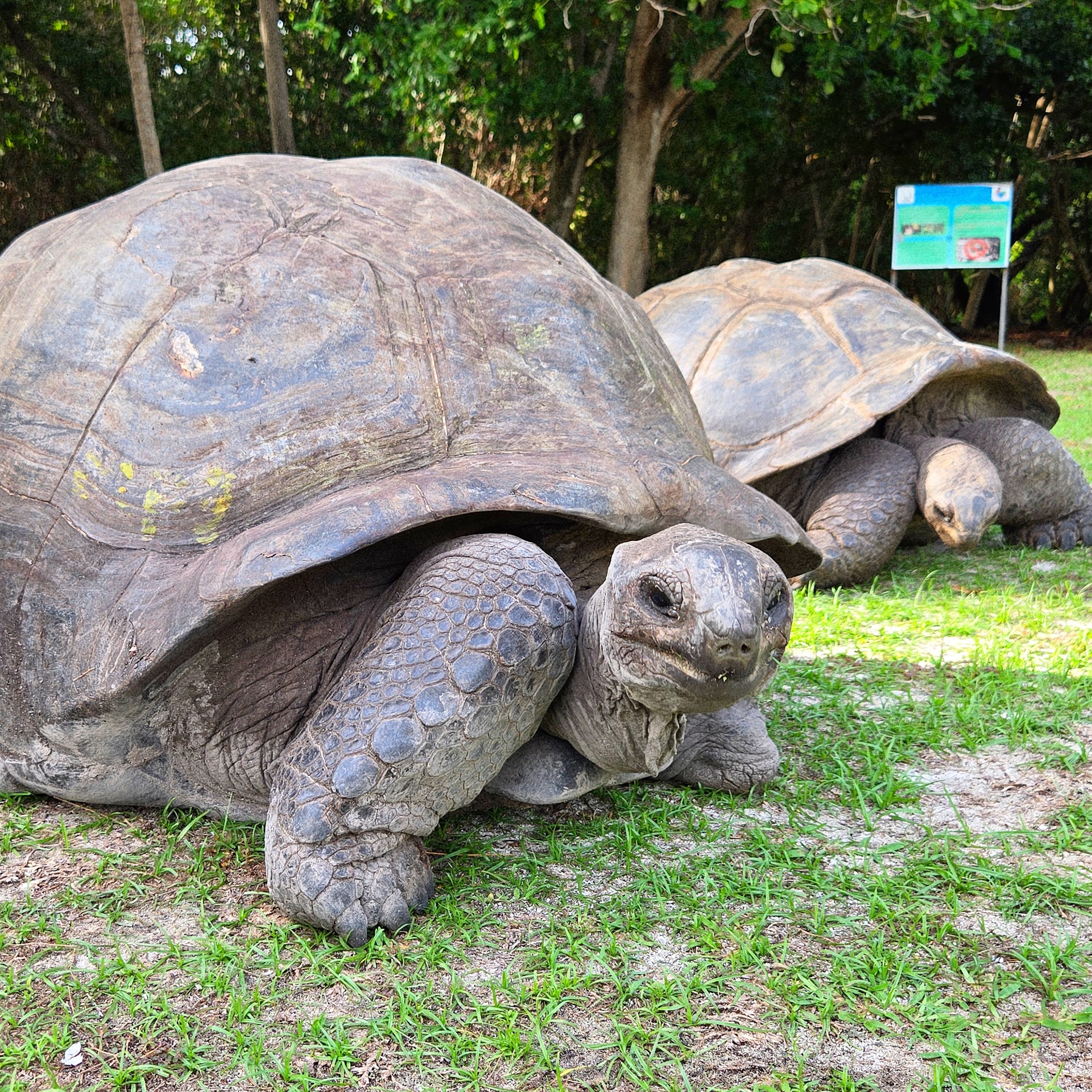 Sanctuaire des tortues