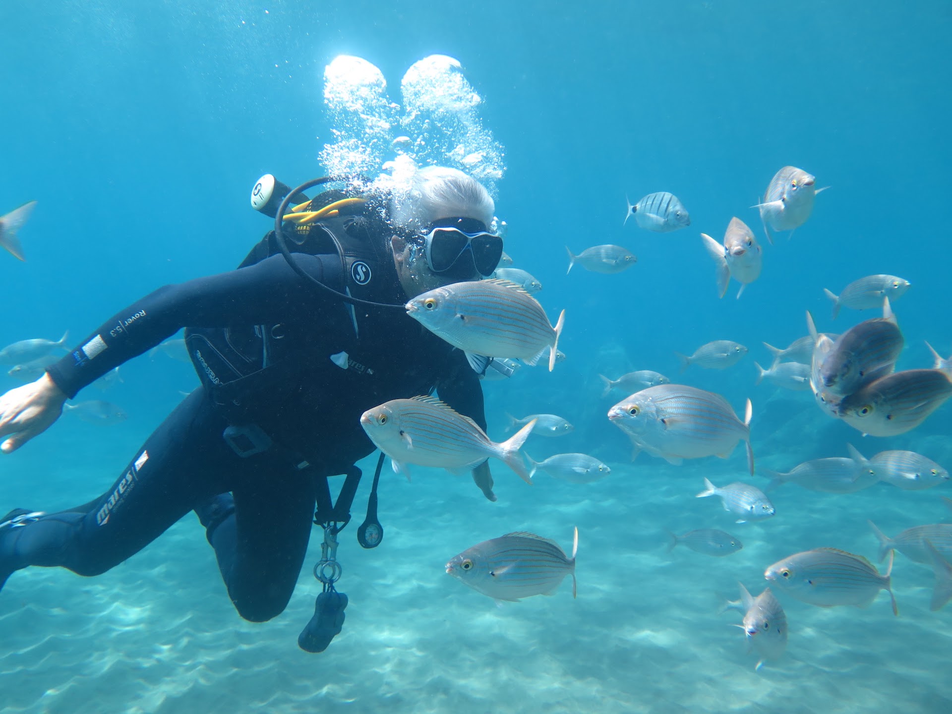 Canary Diving