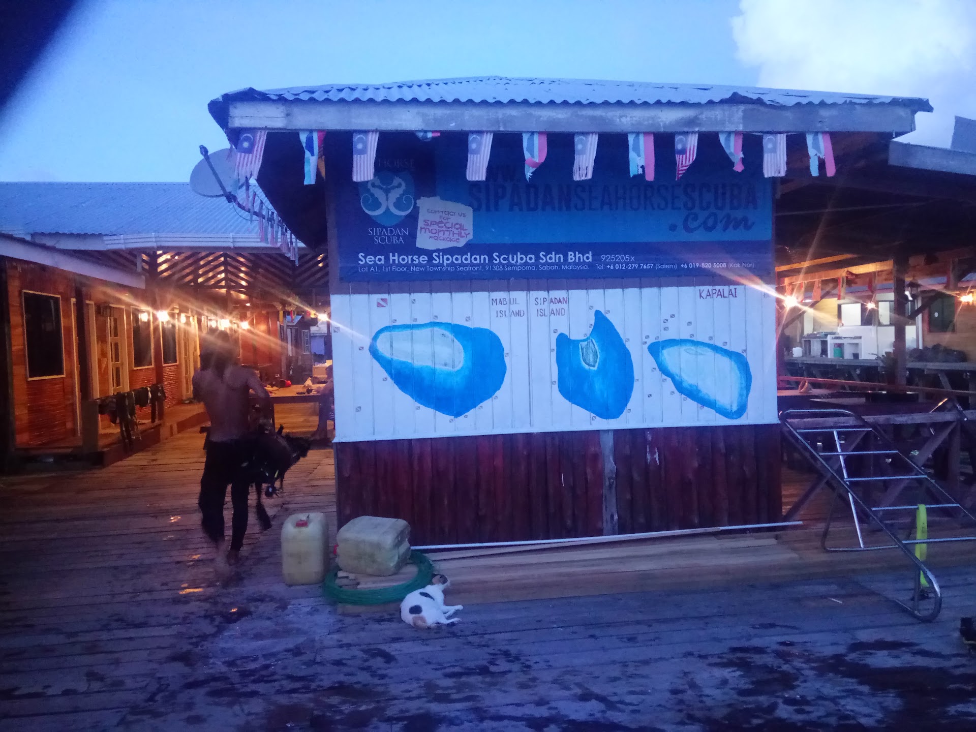 Seahorse Sipadan Scuba