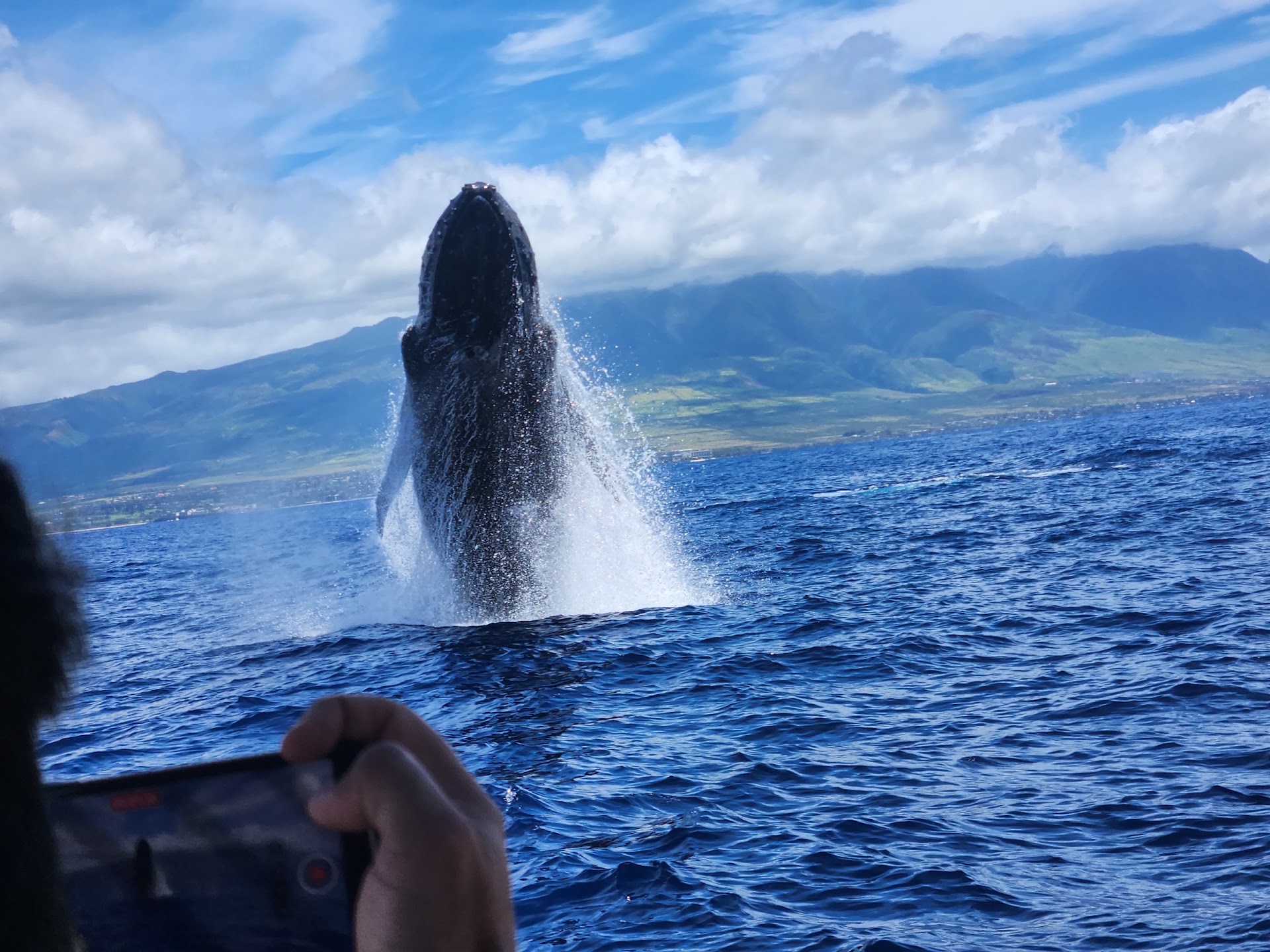 Lanai Ocean Adventures