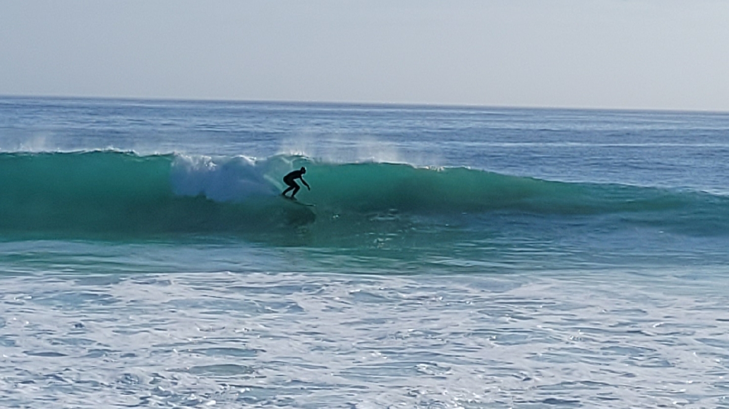 Surfari Fuerteventura