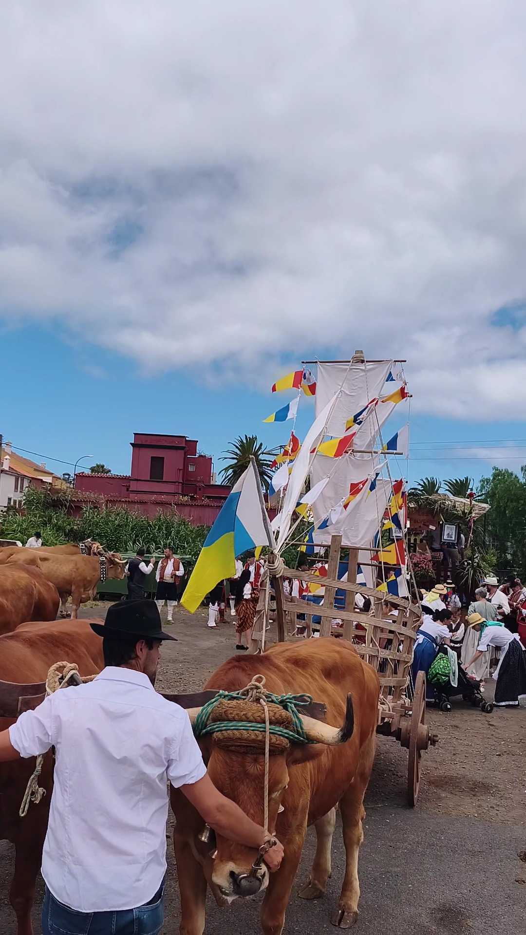 Fiesta Canaria Carnaval