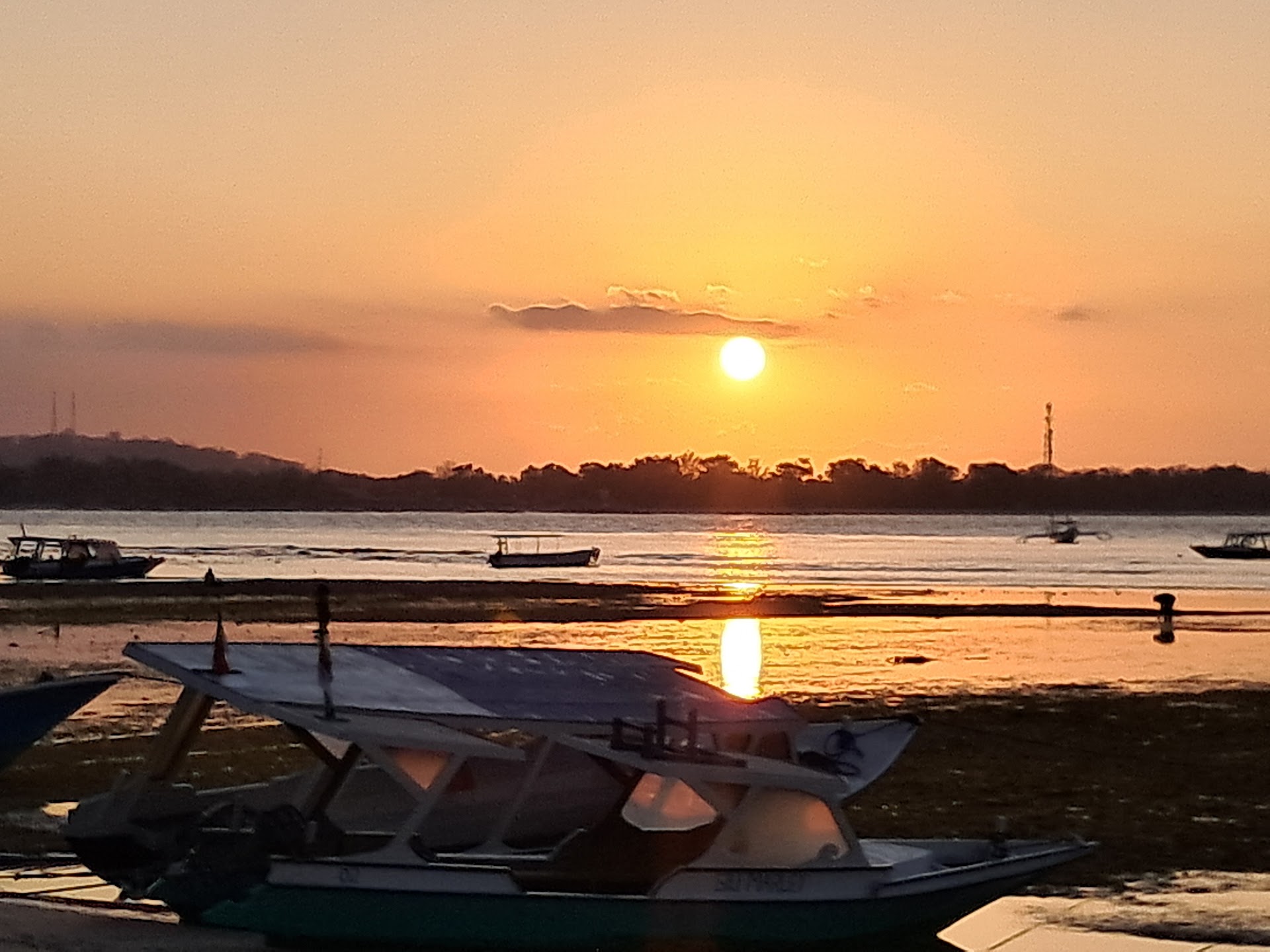 Gili Marley Office