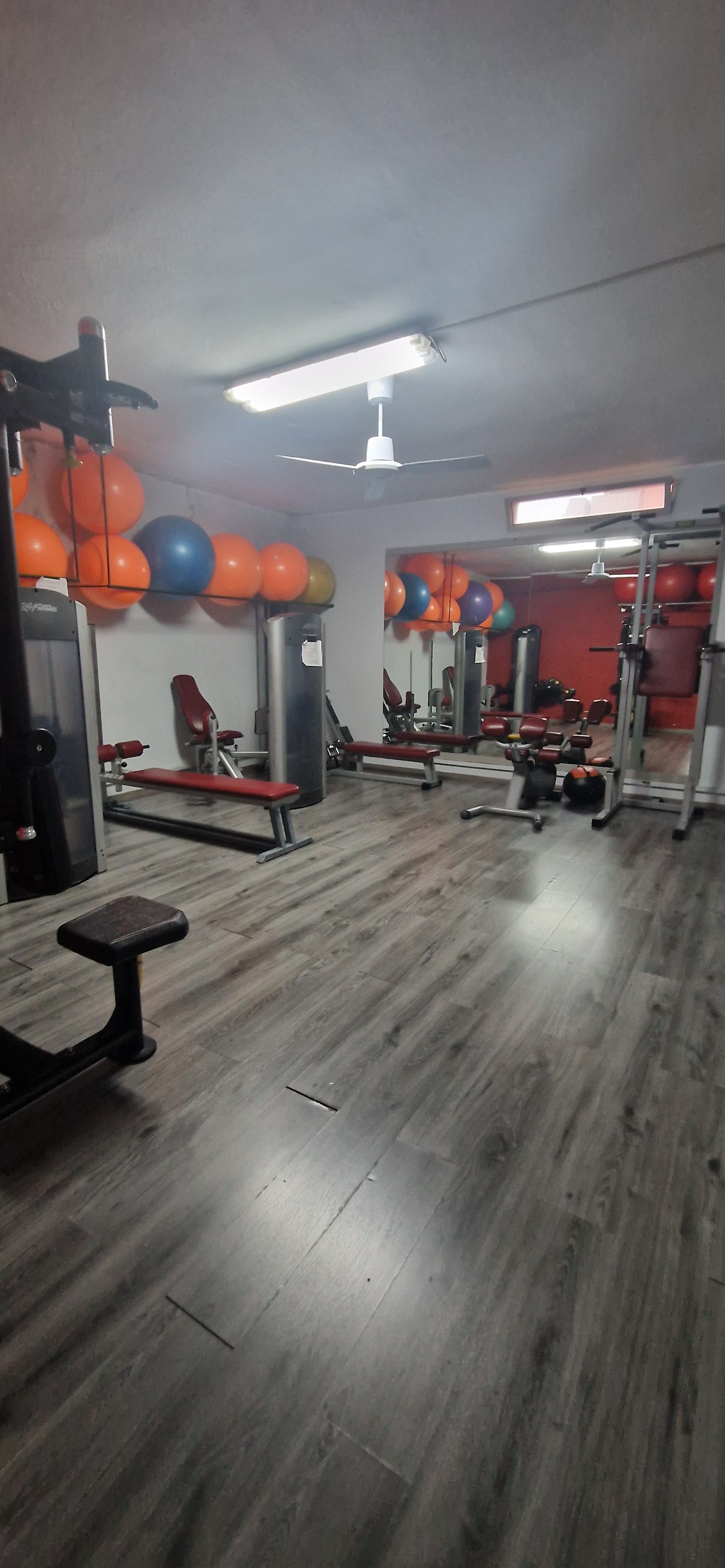 NewCrazyGym