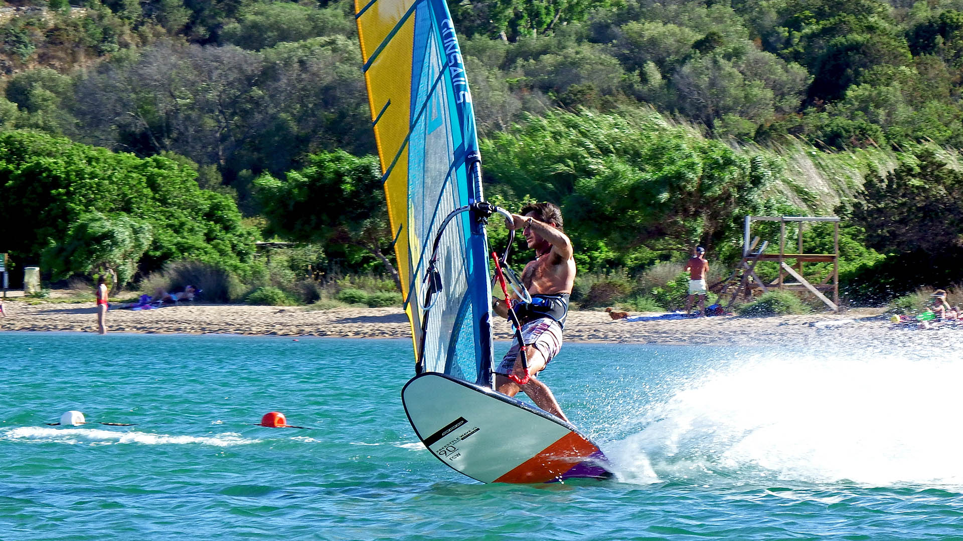 Dolphin Windsurf
