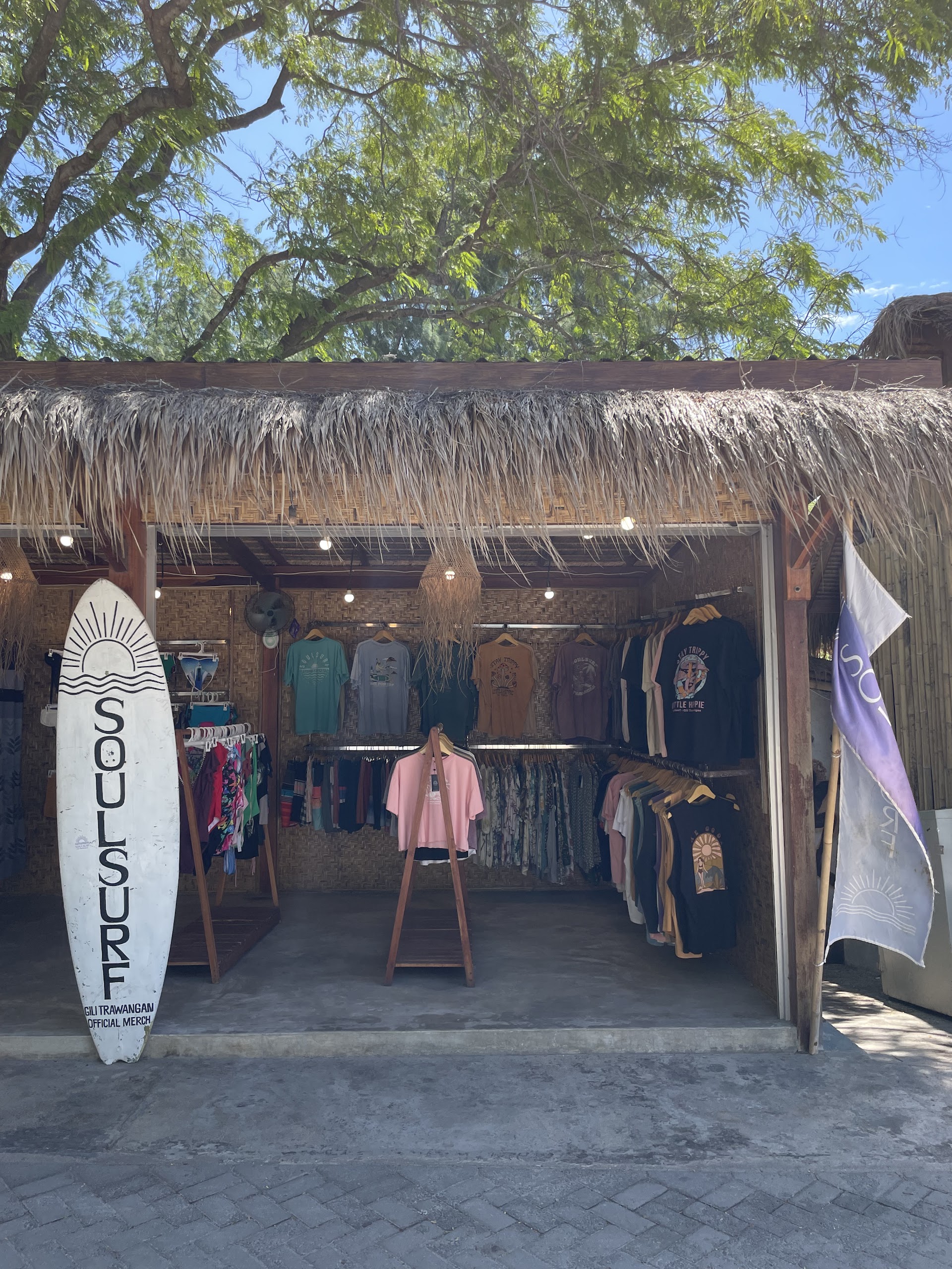 Electric bike and Soulsurf