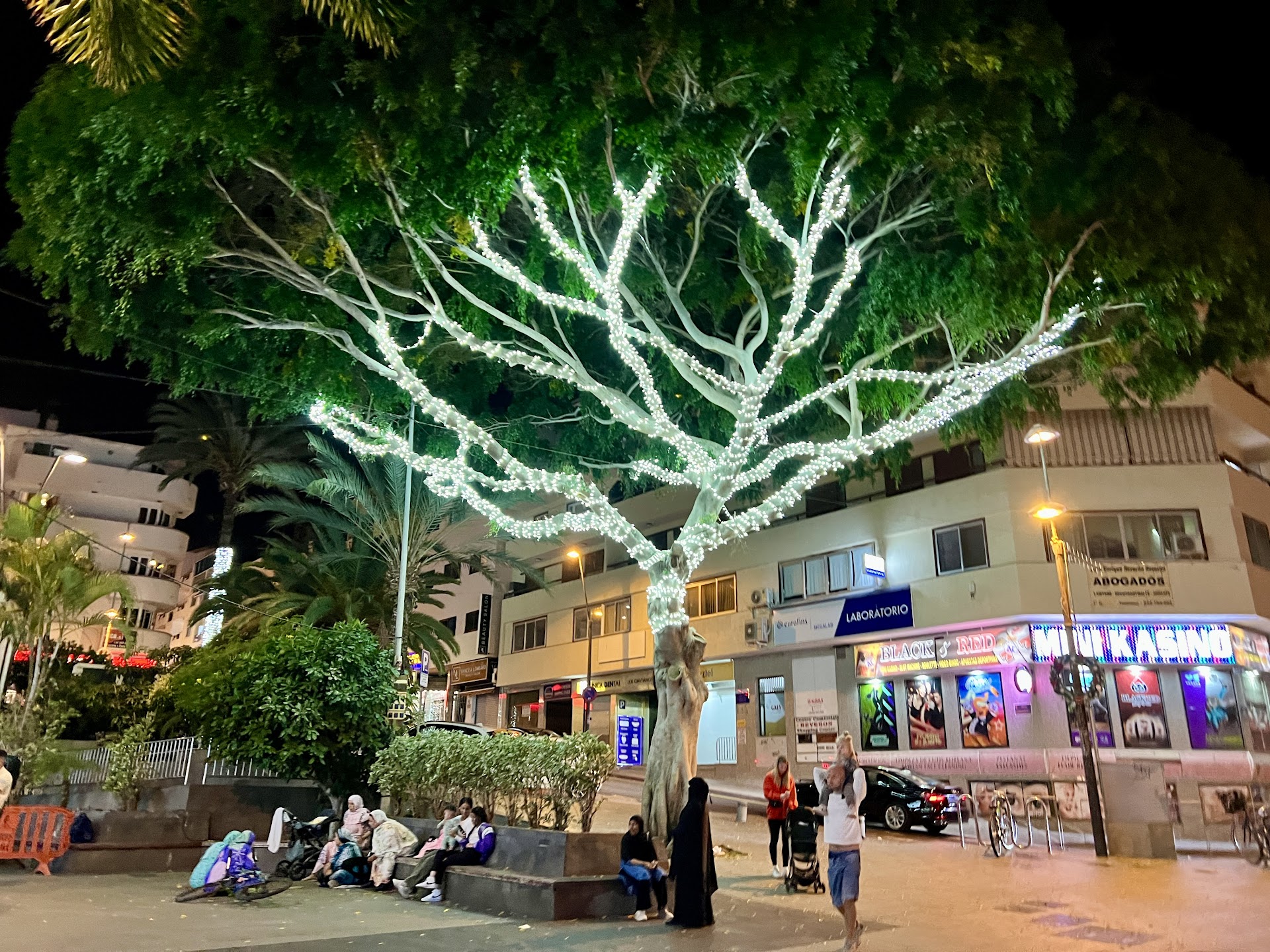 Plaza la alpispa