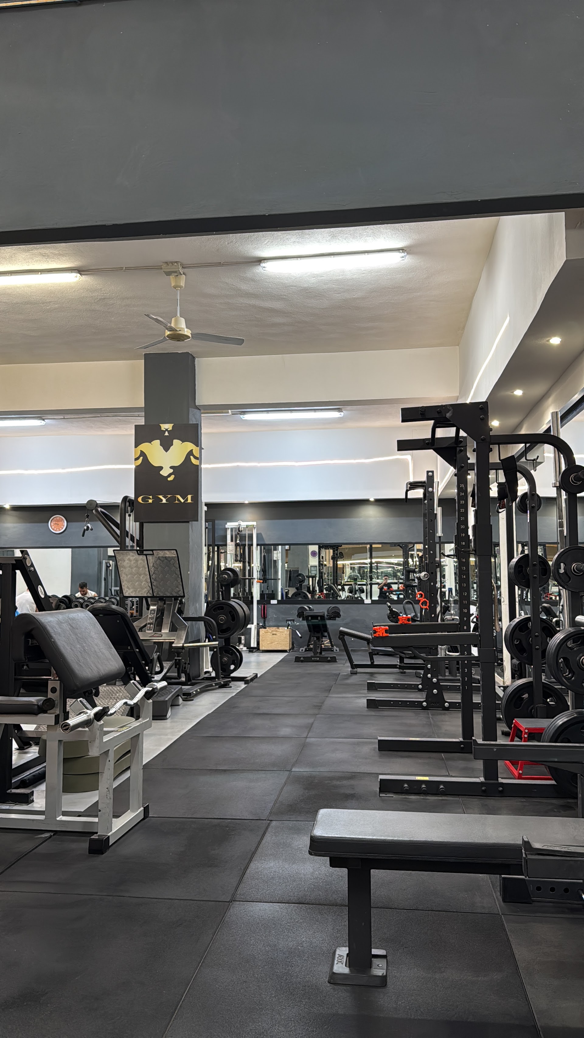 Gymnasium Cagliari Società Sportiva Dilettantistica