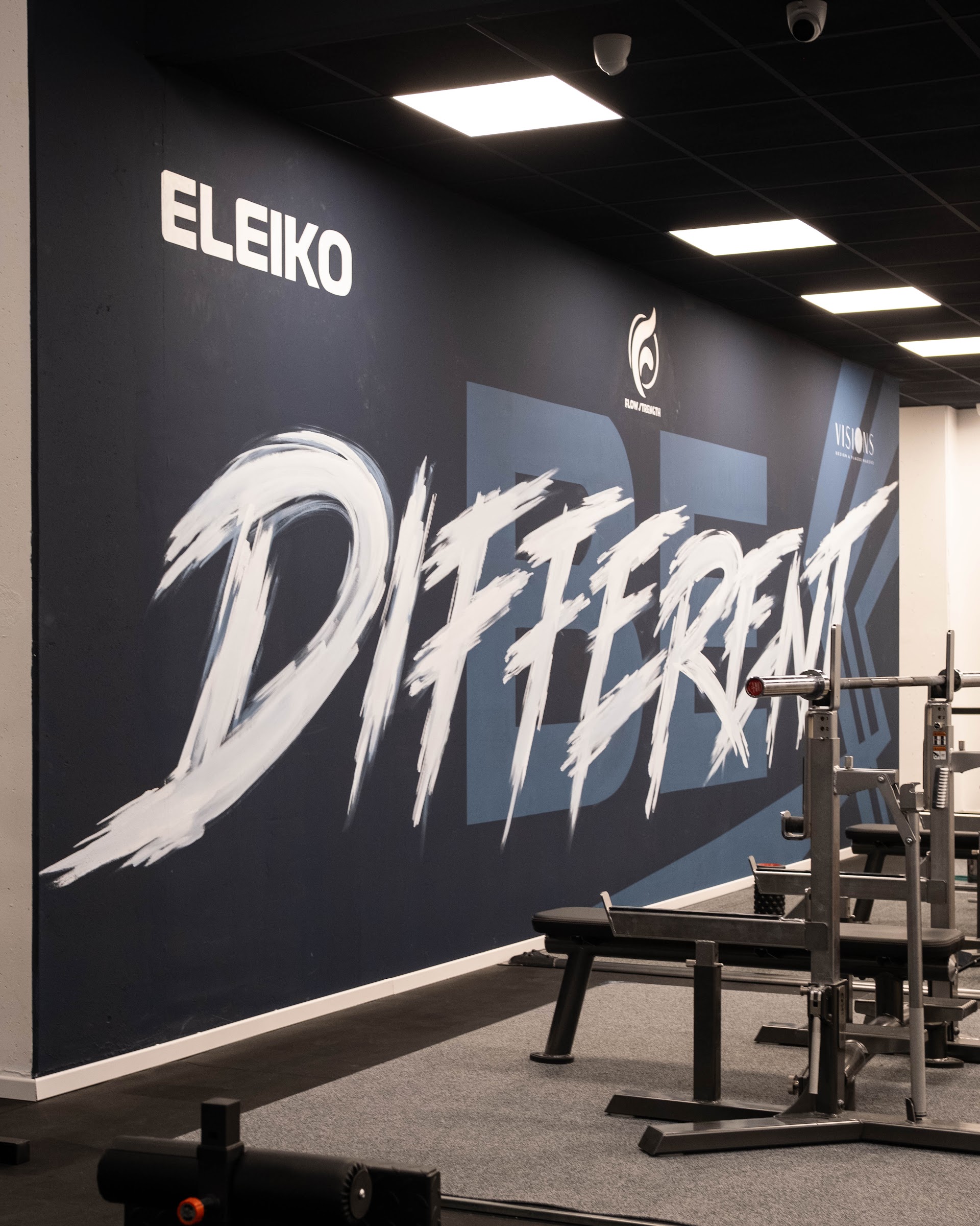 Flow Strength Cagliari | palestra powerlifting - streetlifting - bodybuilding - calisthenics - weightlifting - sala posing