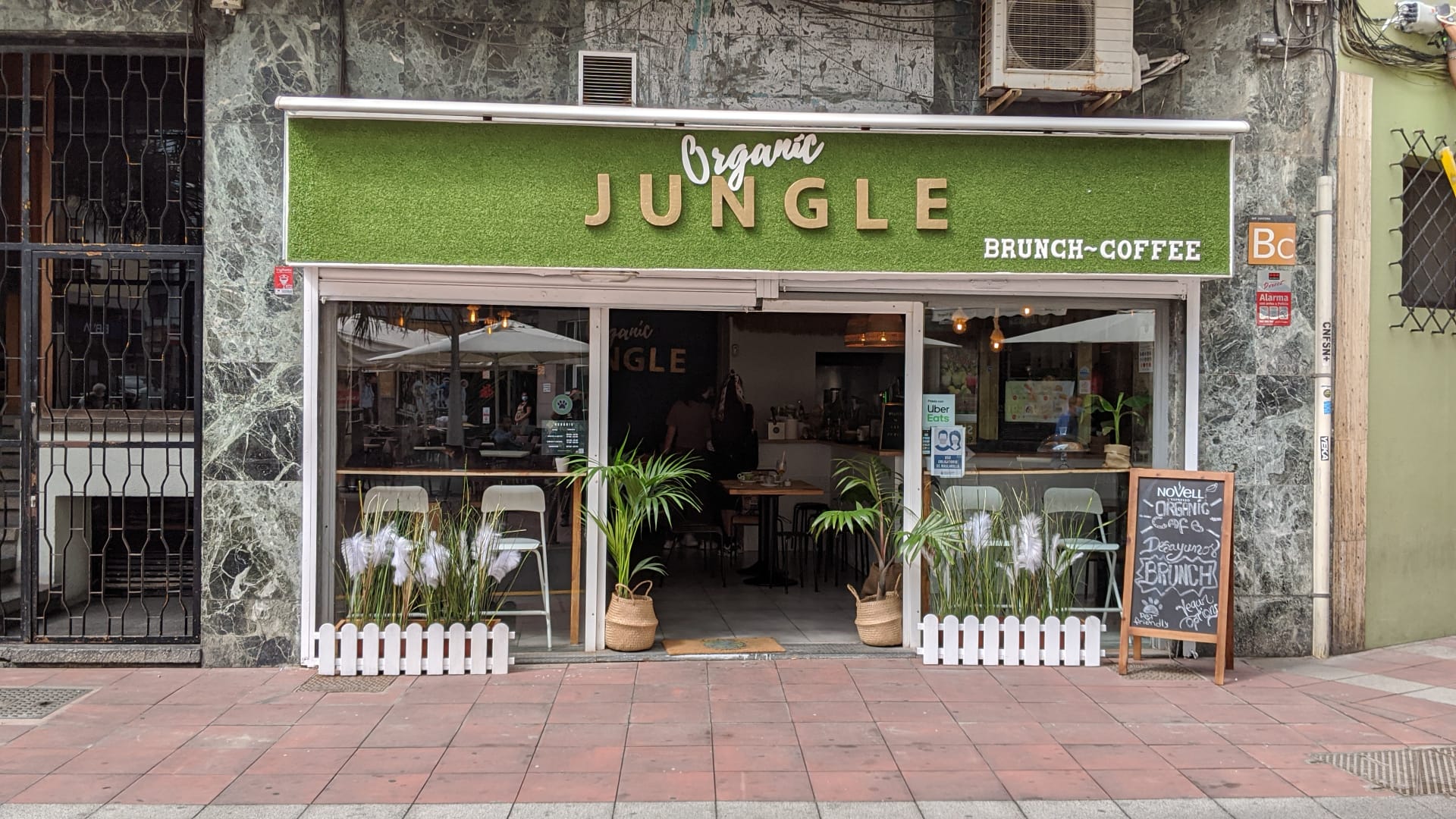 Organic Jungle Brunch and specialty coffee