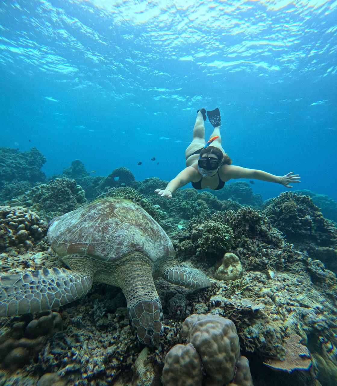 Sexy Turtle