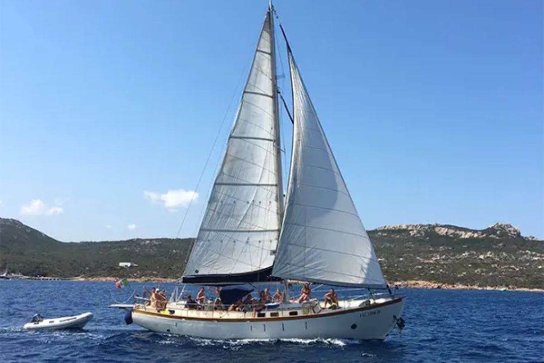Papa Sail