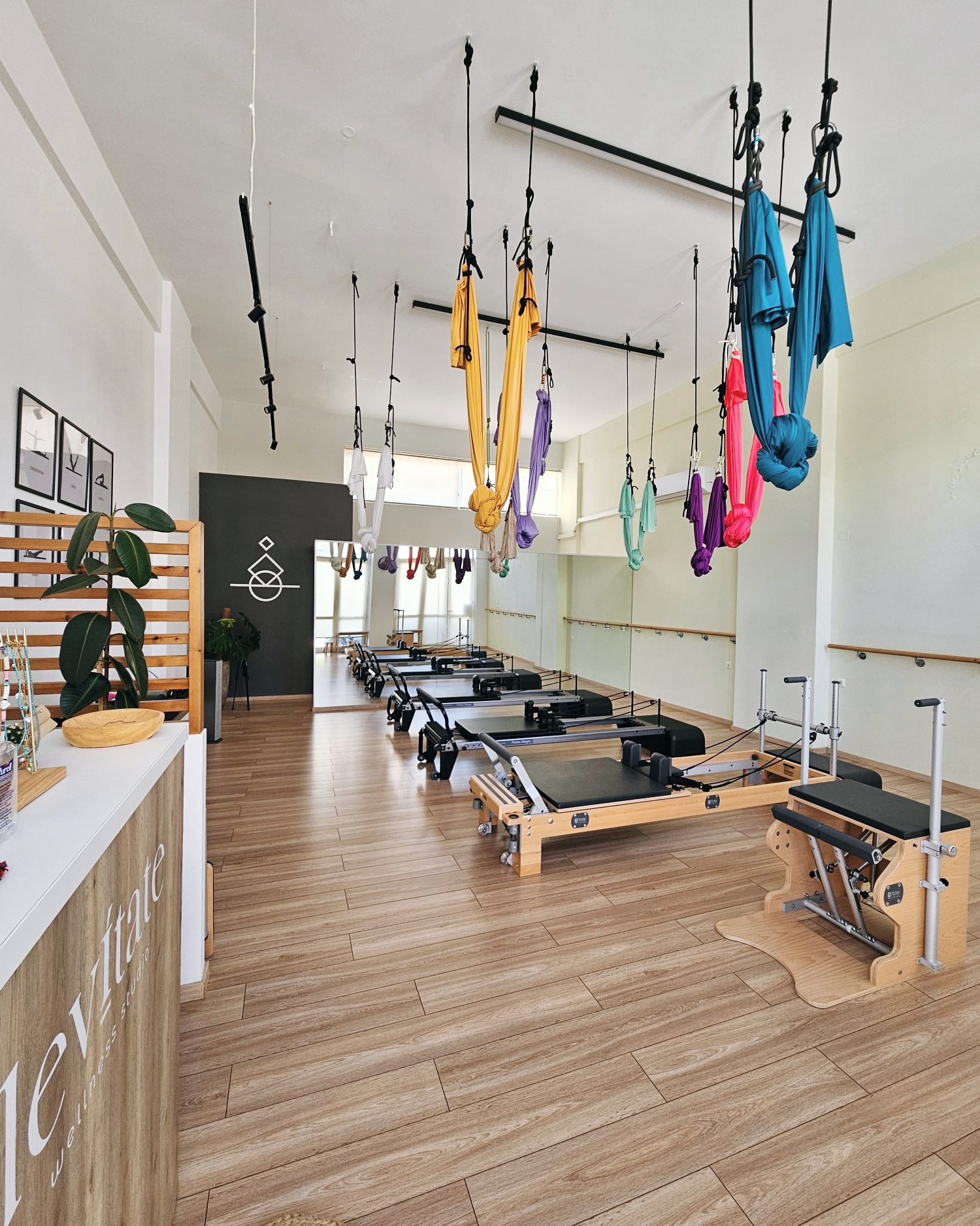Levitate Wellness Studio