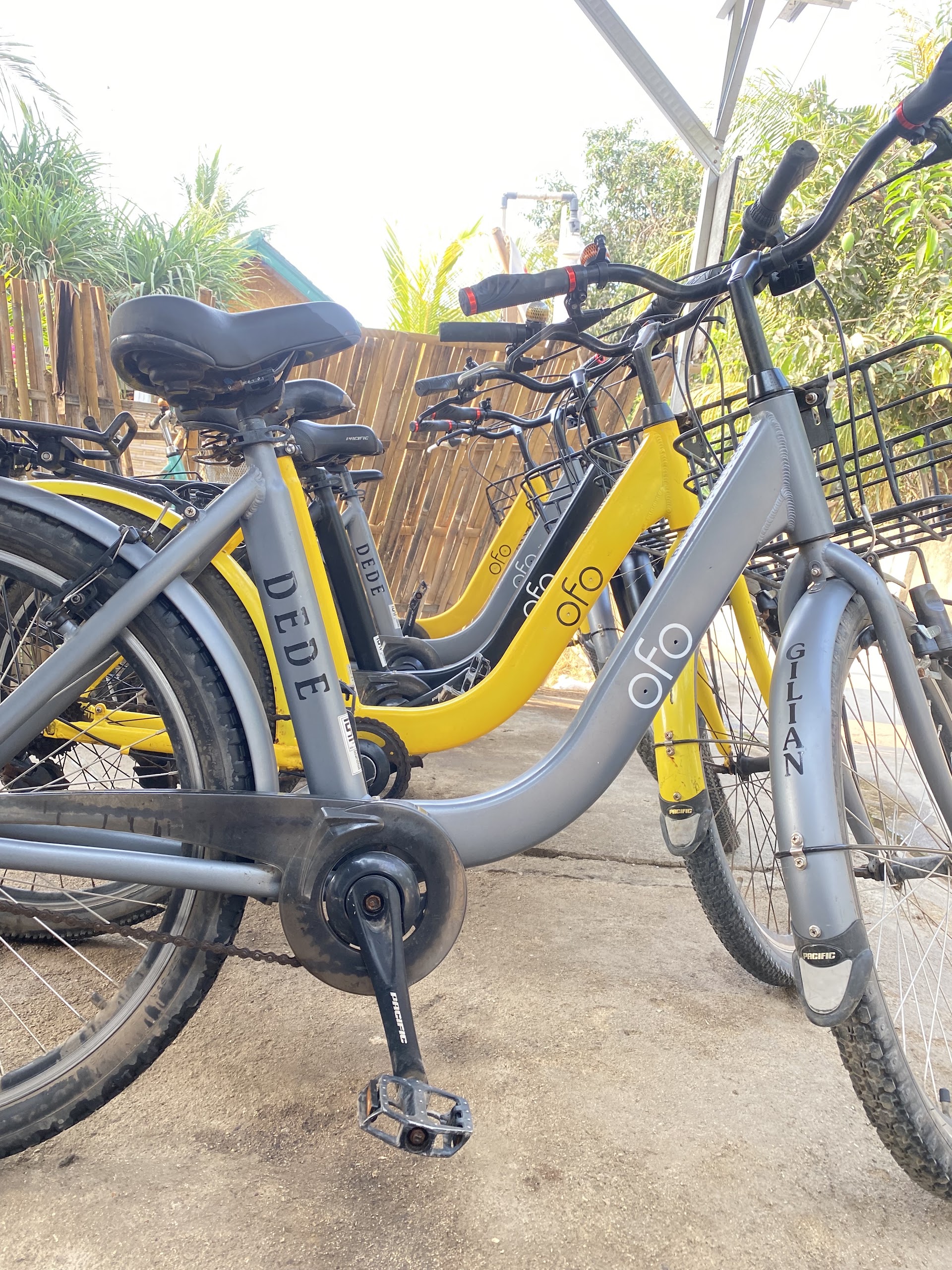 Dede silvia rent bike