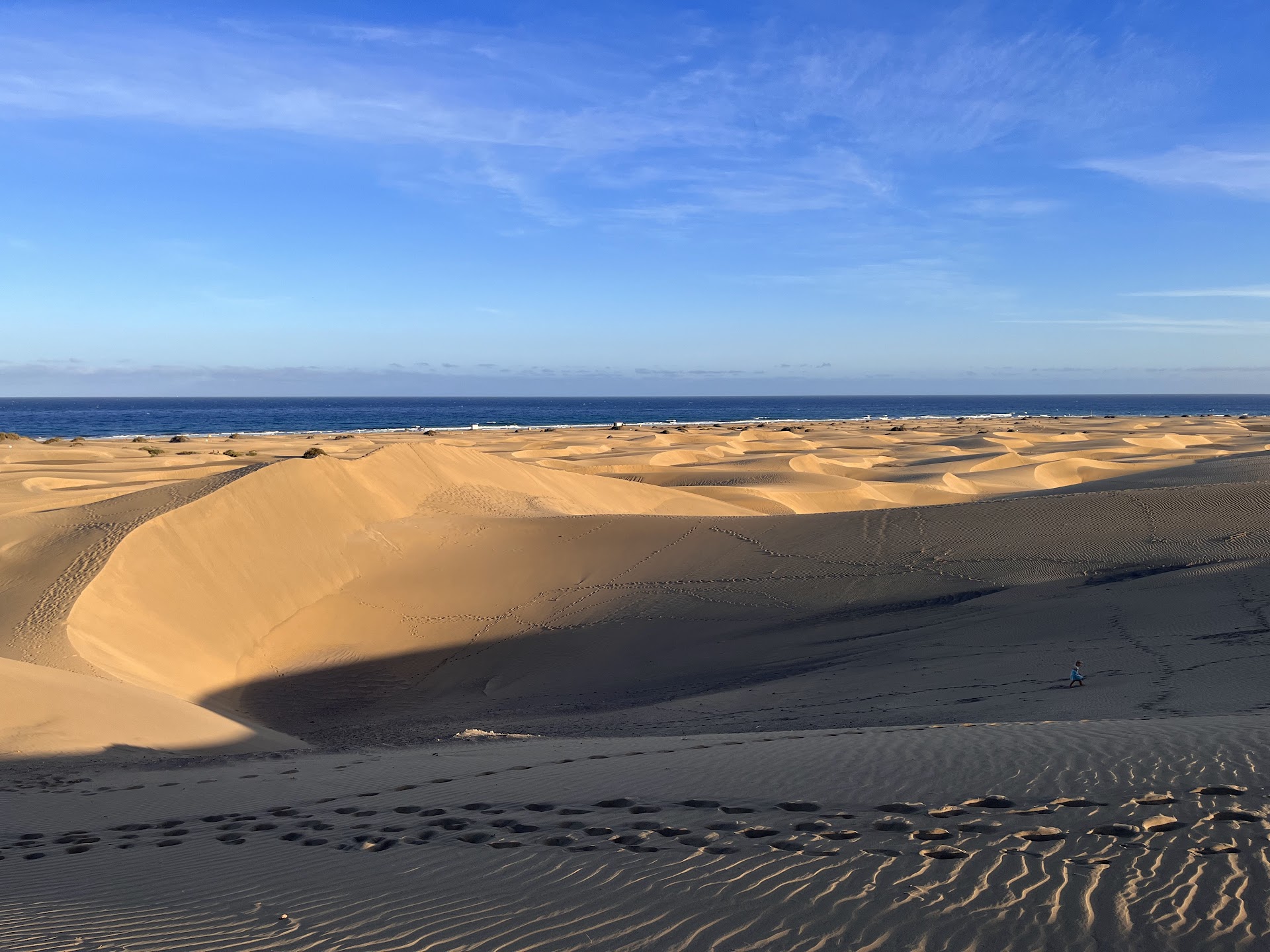 Mirador Dunas Santa Mónica