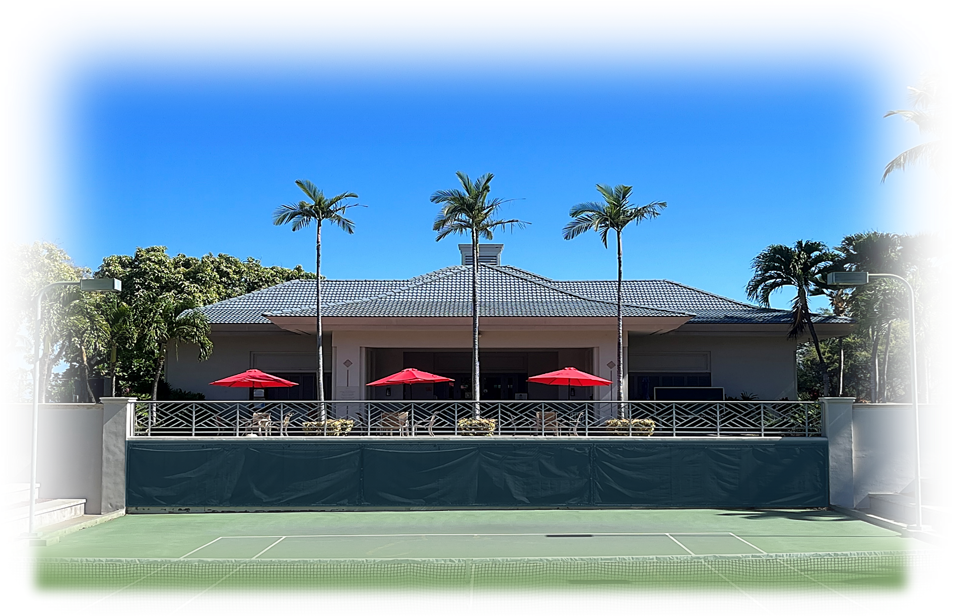 Island Slice Tennis