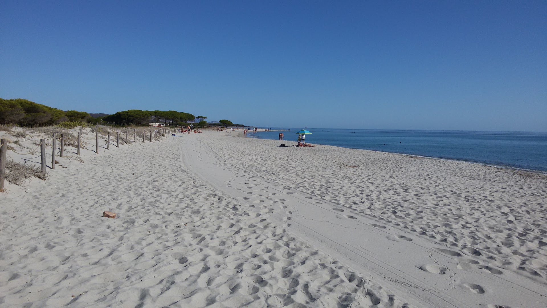 Spiaggia e pineta Salamaghe
