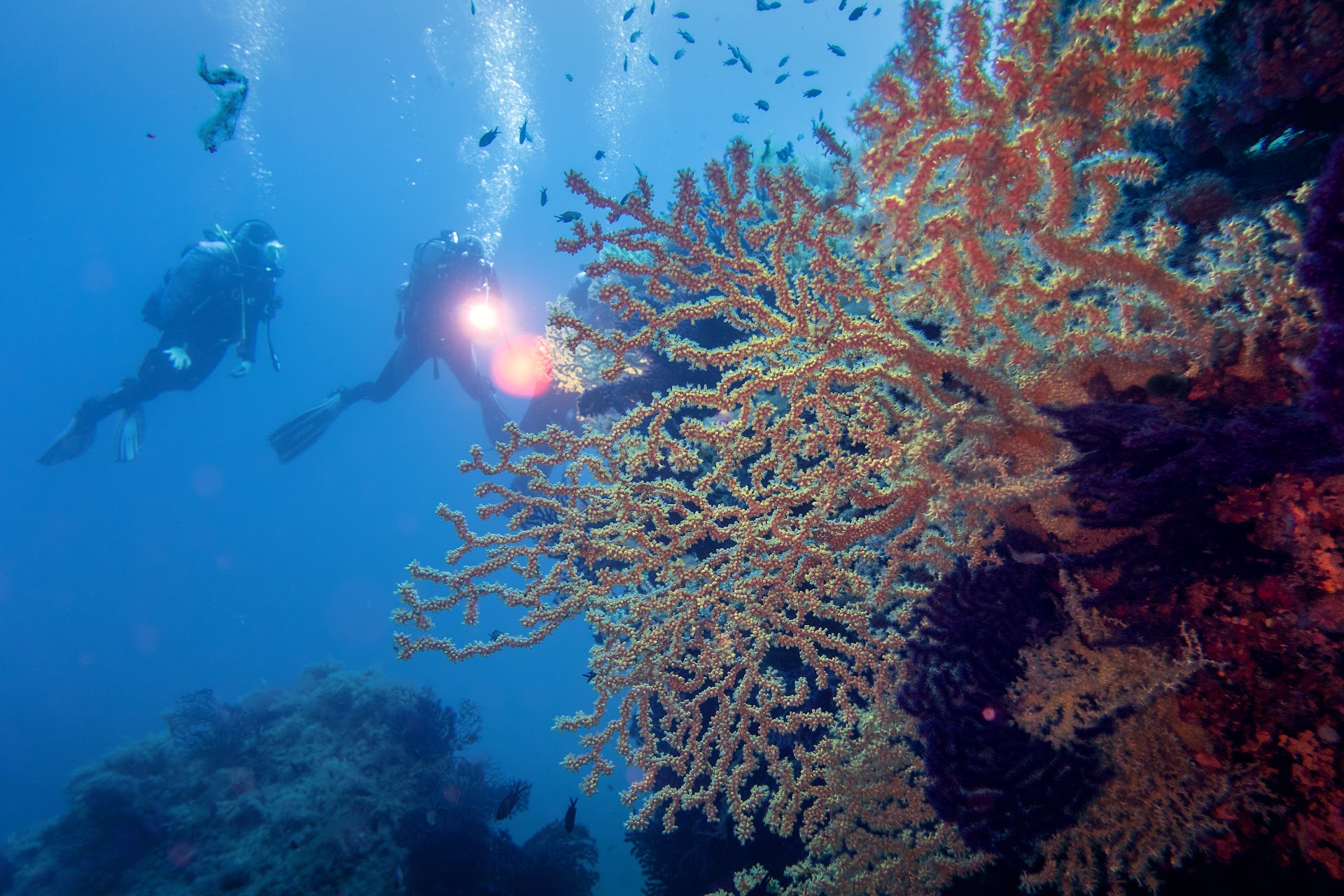 Diving Santa Teresa Gallura