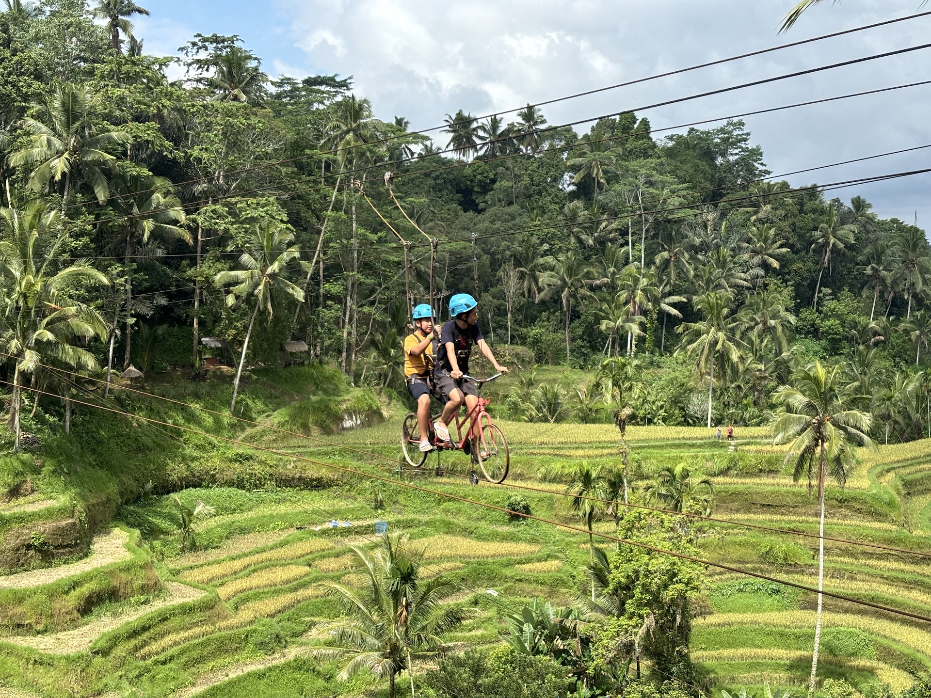 Made Dodi Private Driver Bali & Tour Guide