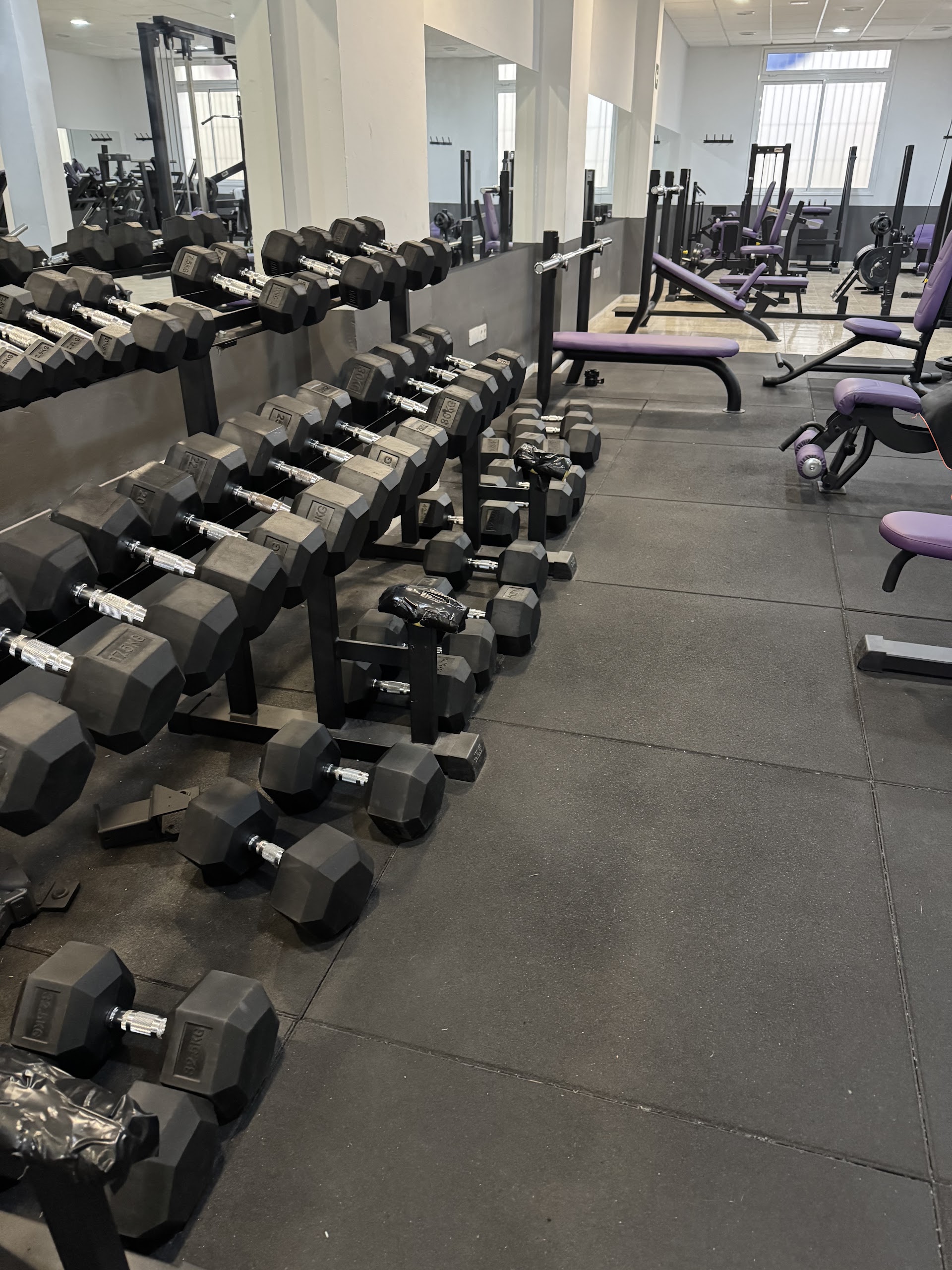 ZAMFIT GYM