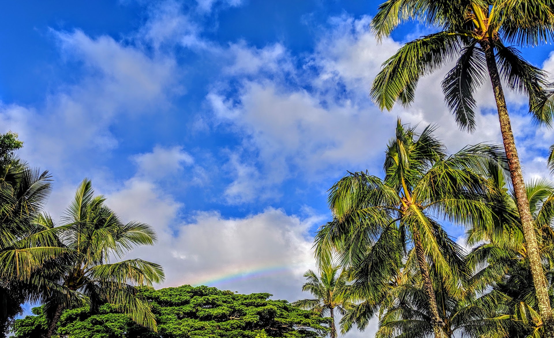 Princeville