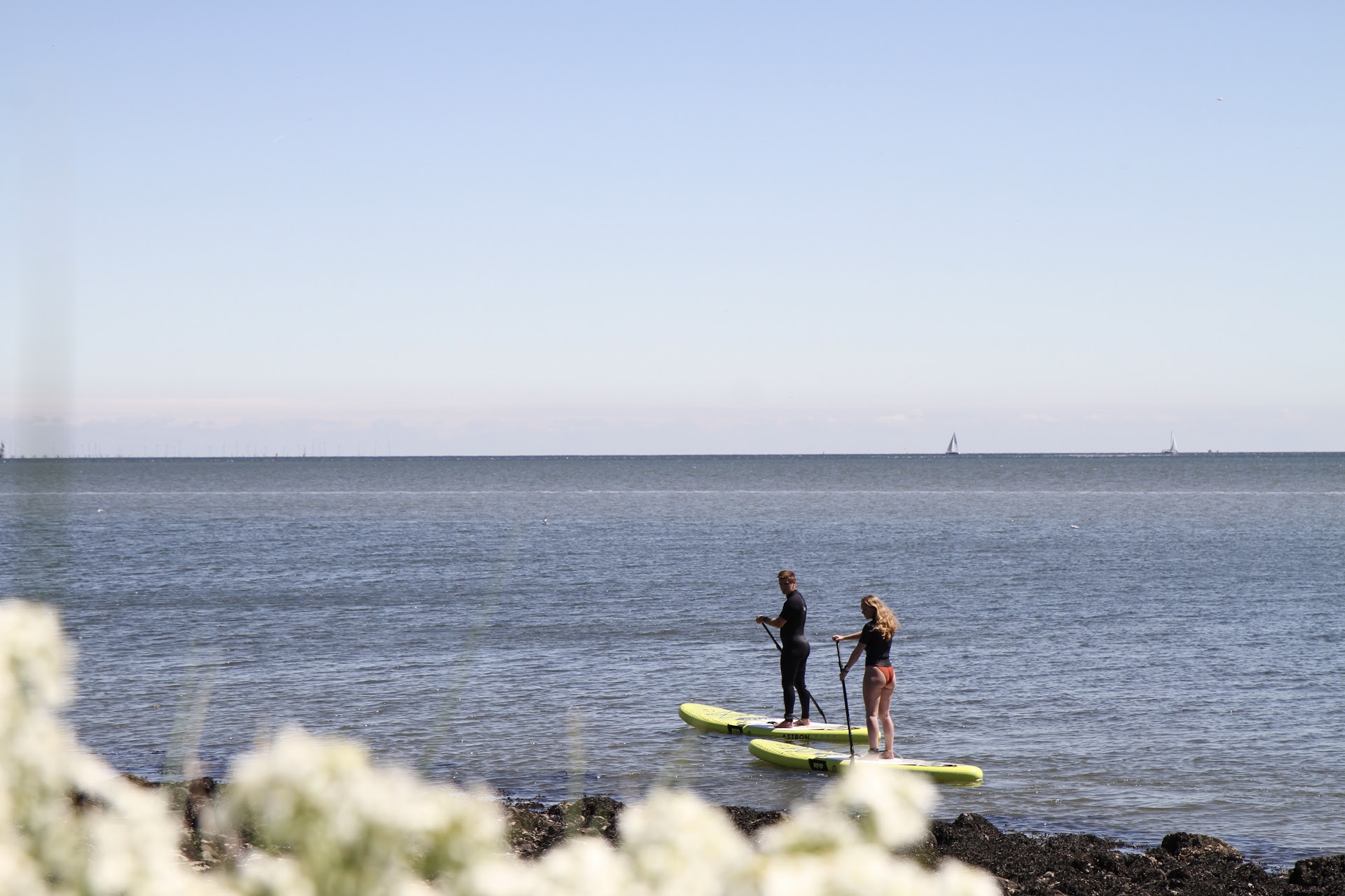 Sup en Surf op Texel