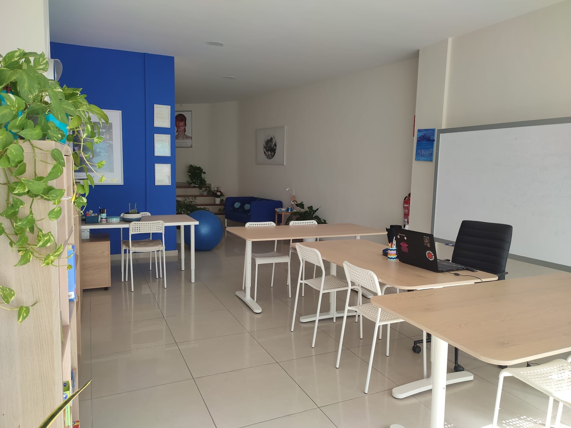 LS Language Studio