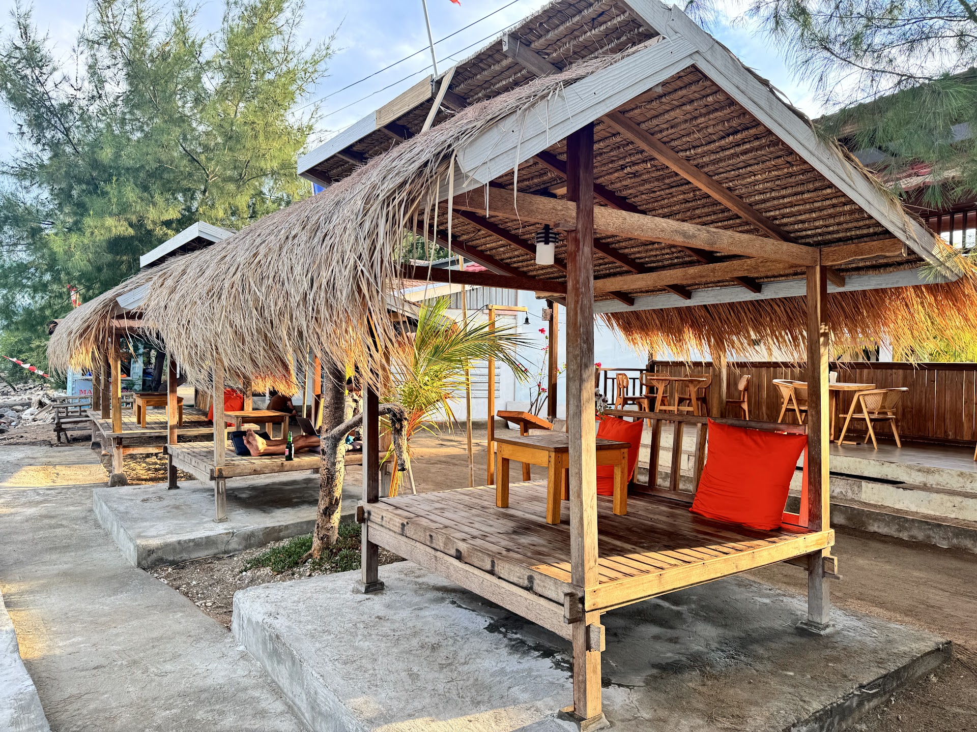 Turtle Bar
