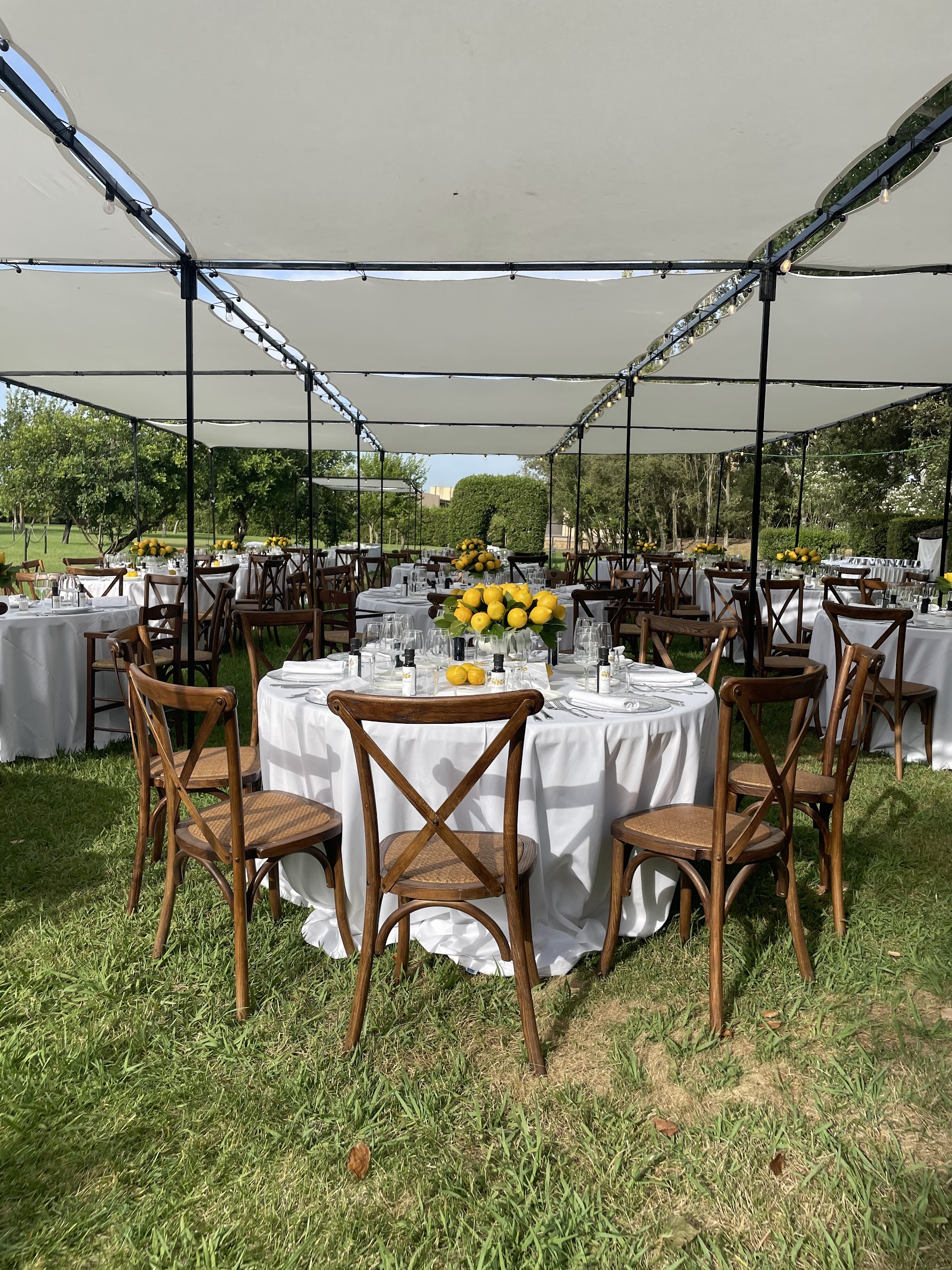 3B SRL Catering e Banqueting