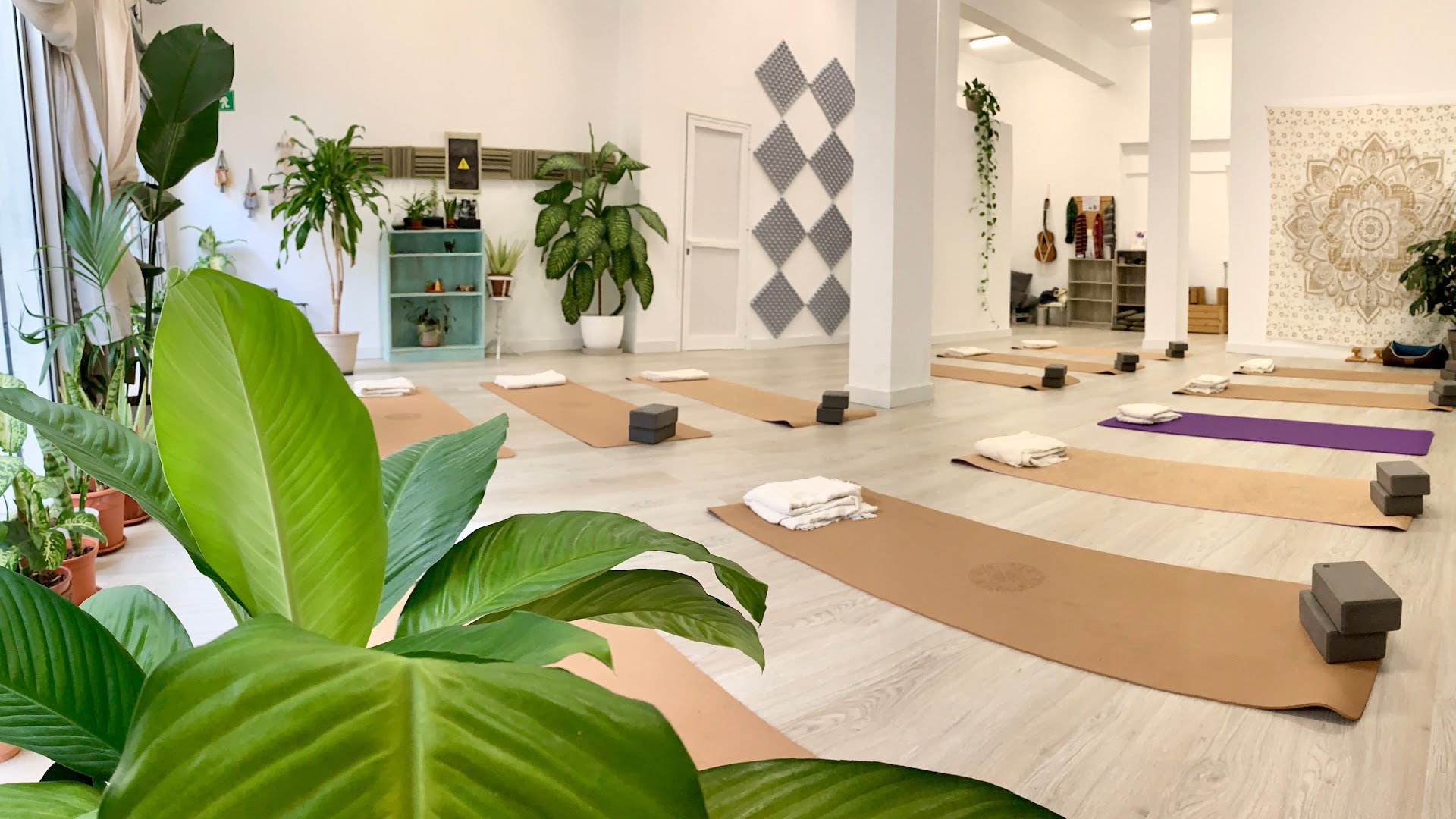 Ashtanga Yoga Tenerife