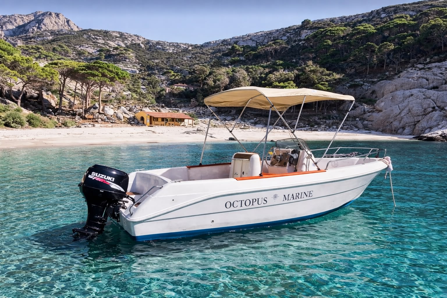 Octopus Marine