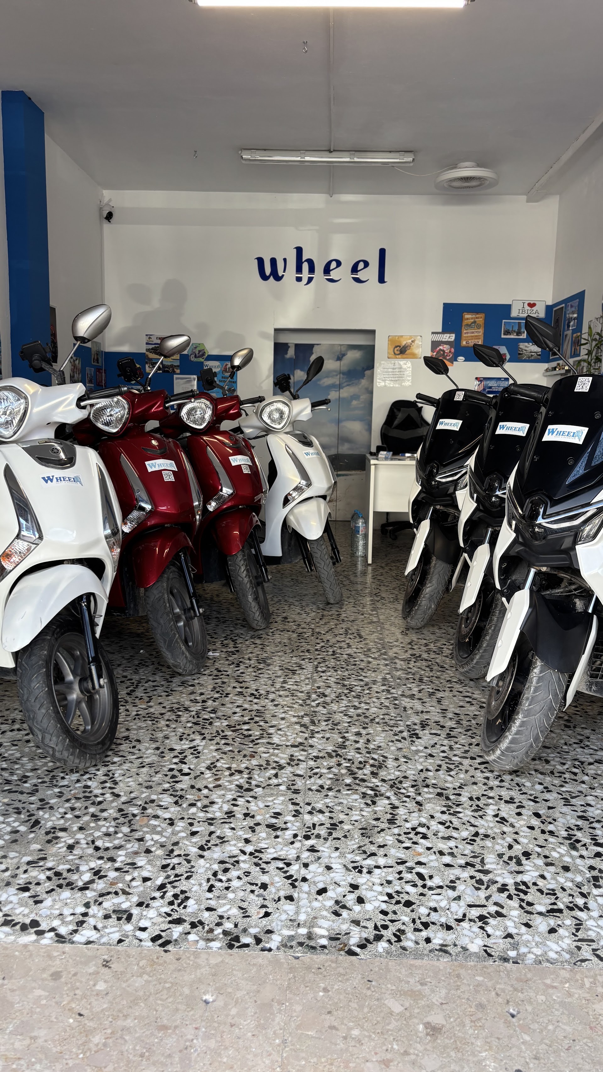 Rental scooter - Rental quads