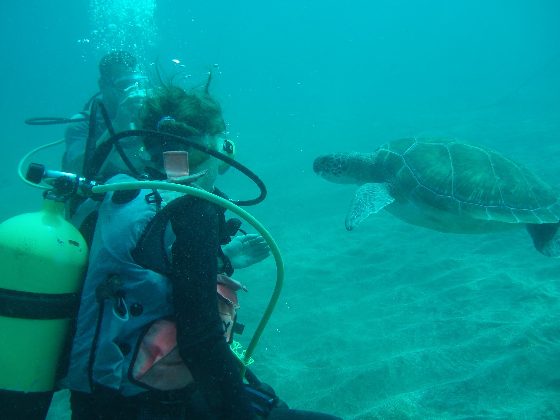 The Dive Shop Tenerife