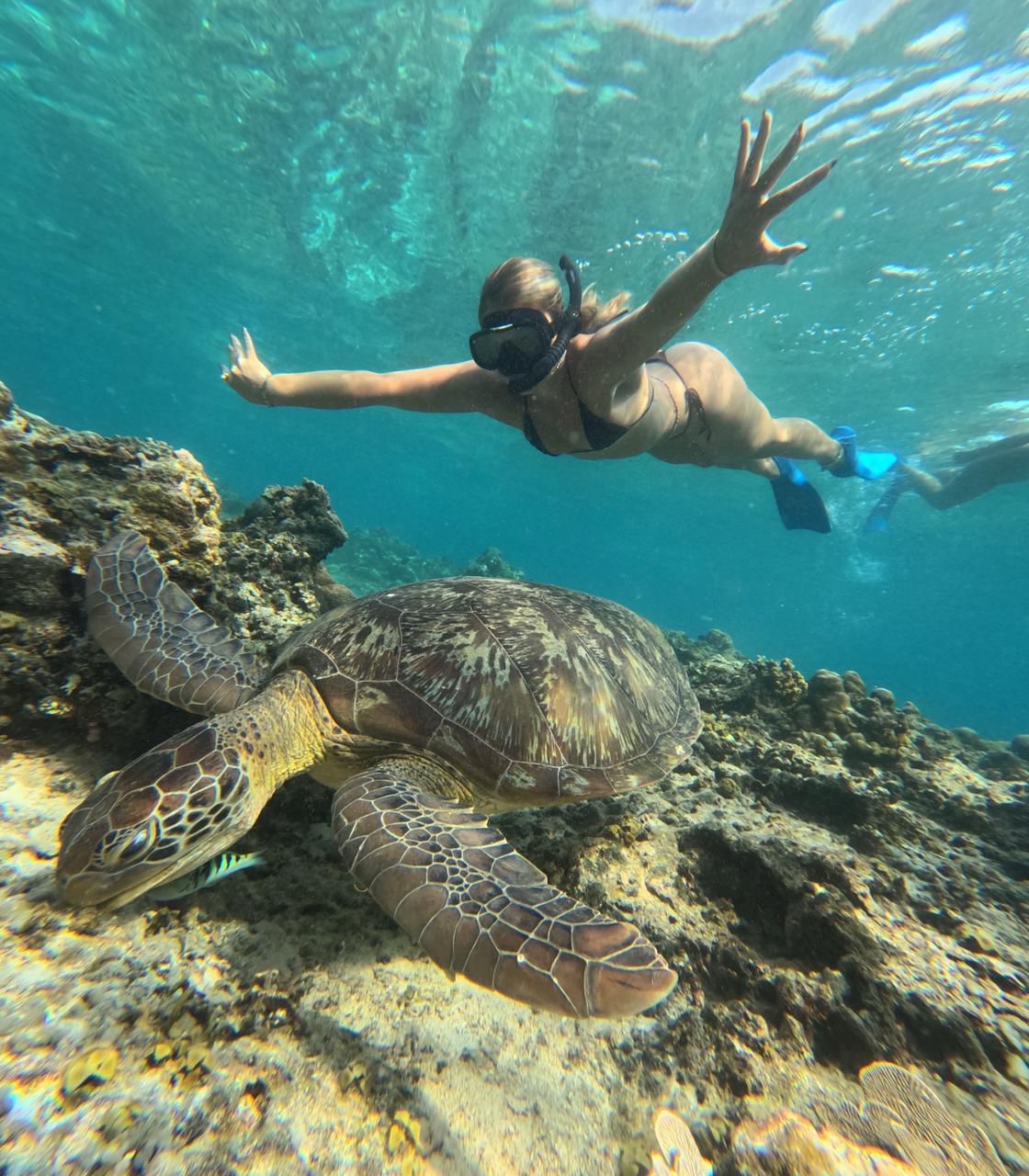 Lombok Gili Island Tours