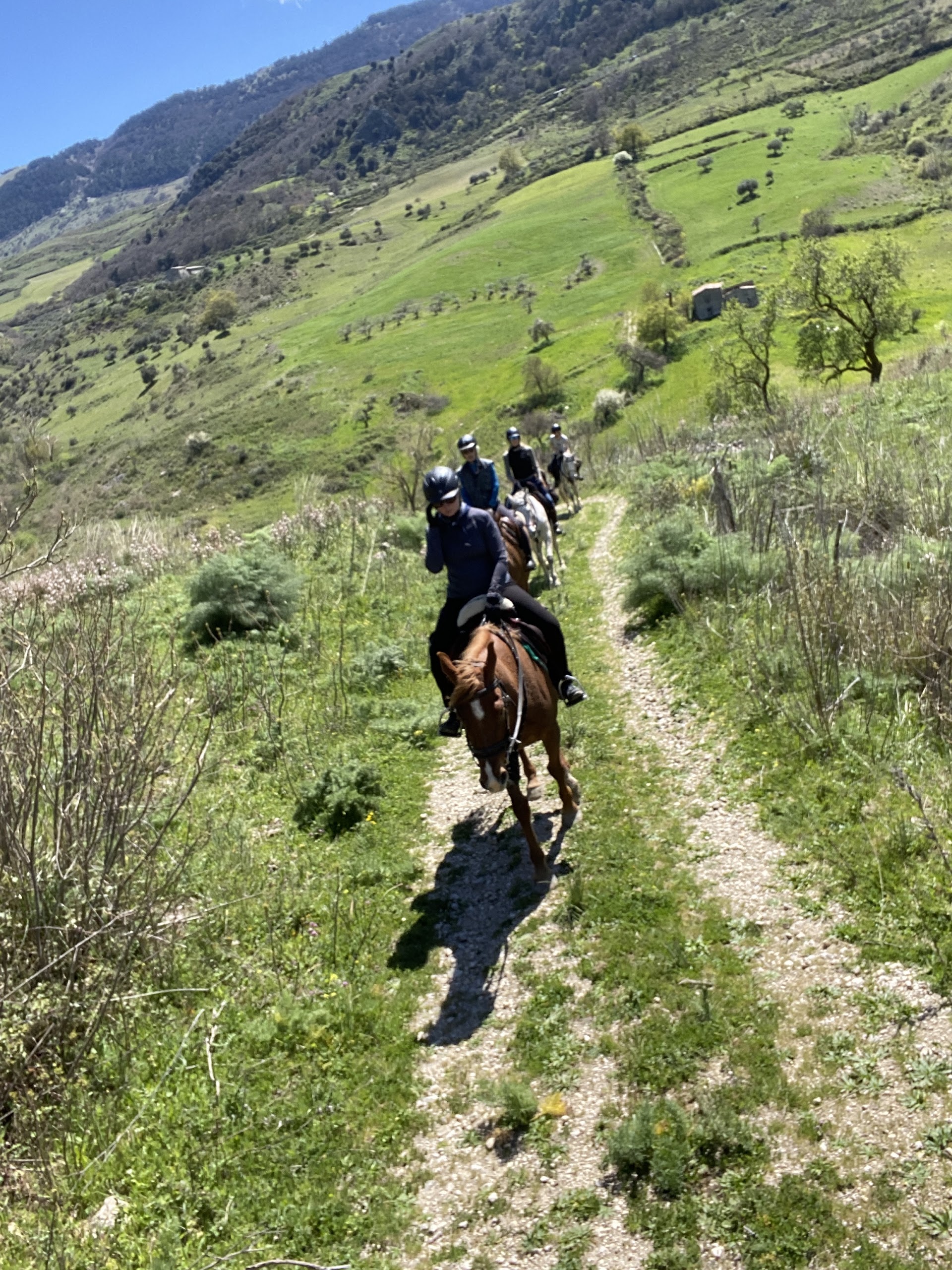 Sikani Horse Trek - Sicily