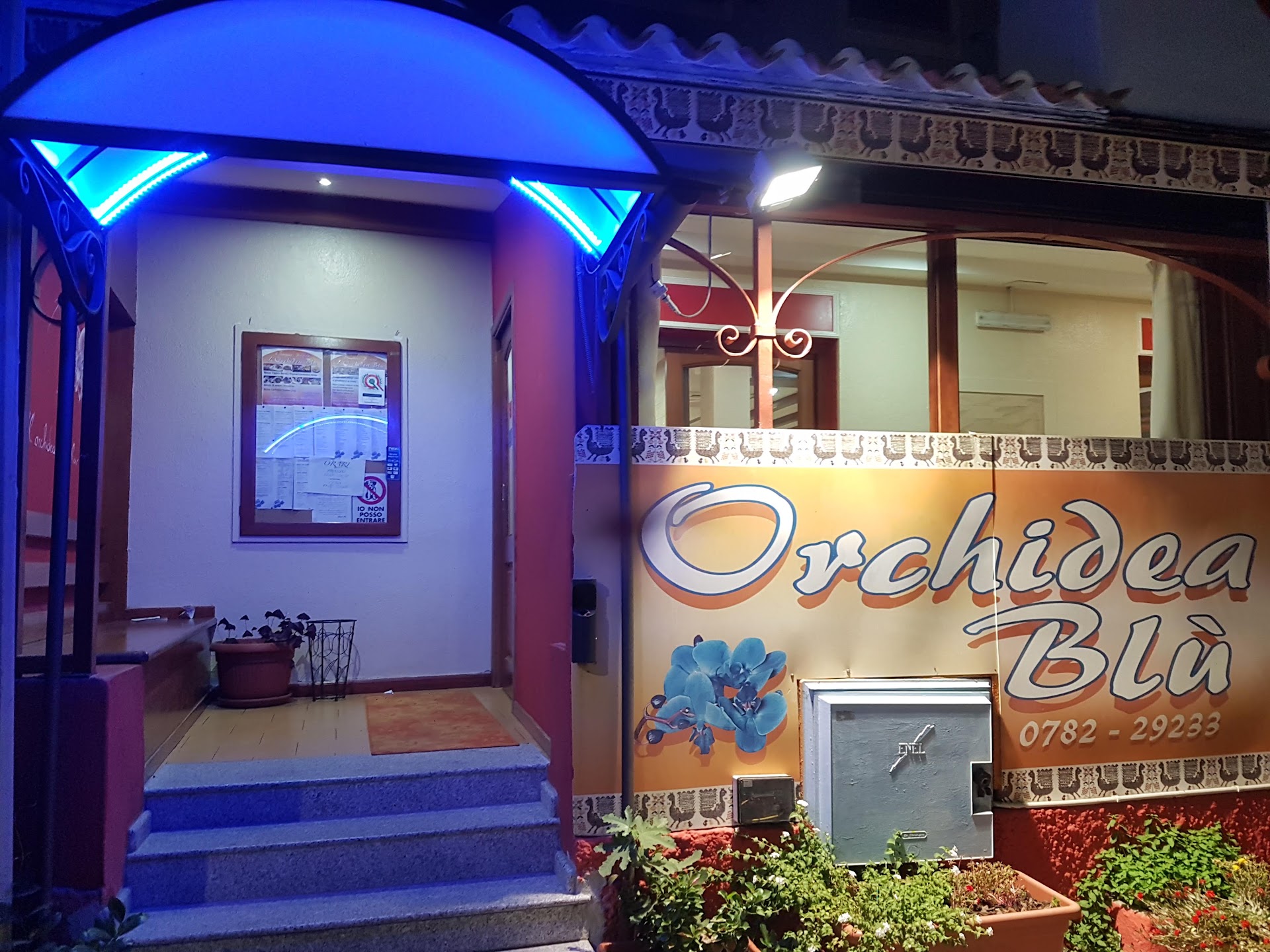 Orchidea Blu