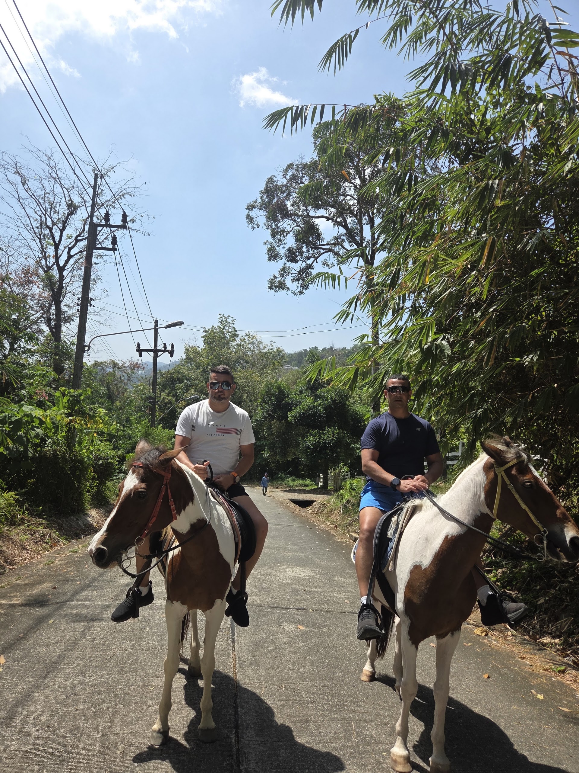 Horseback Riding in Phi Phi Leh