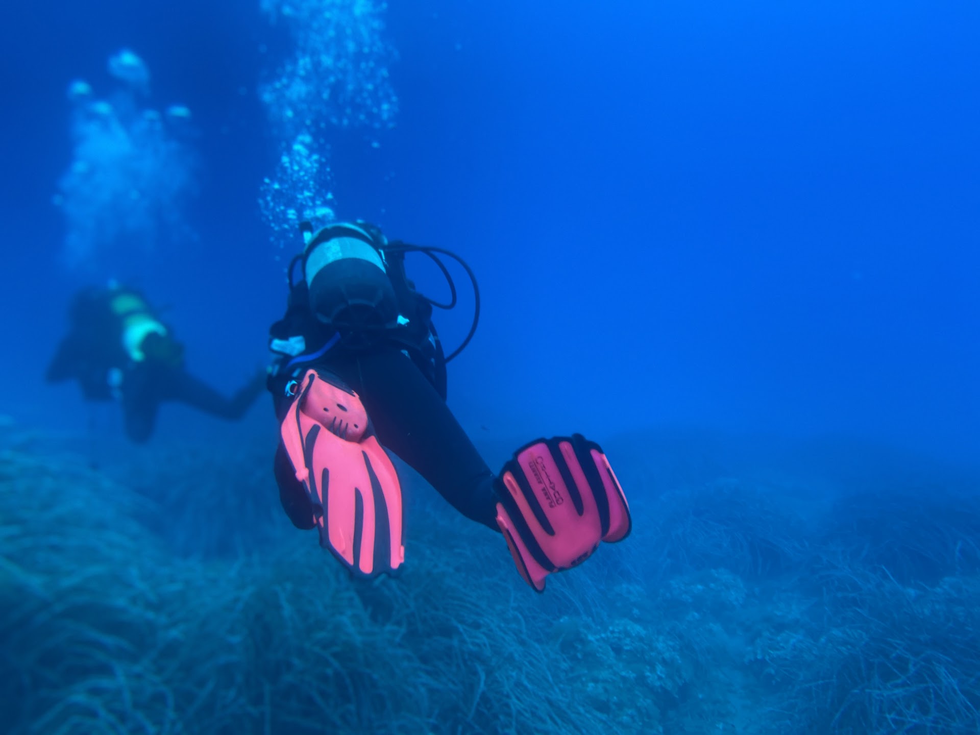 H2ome Diving & Snorkeling