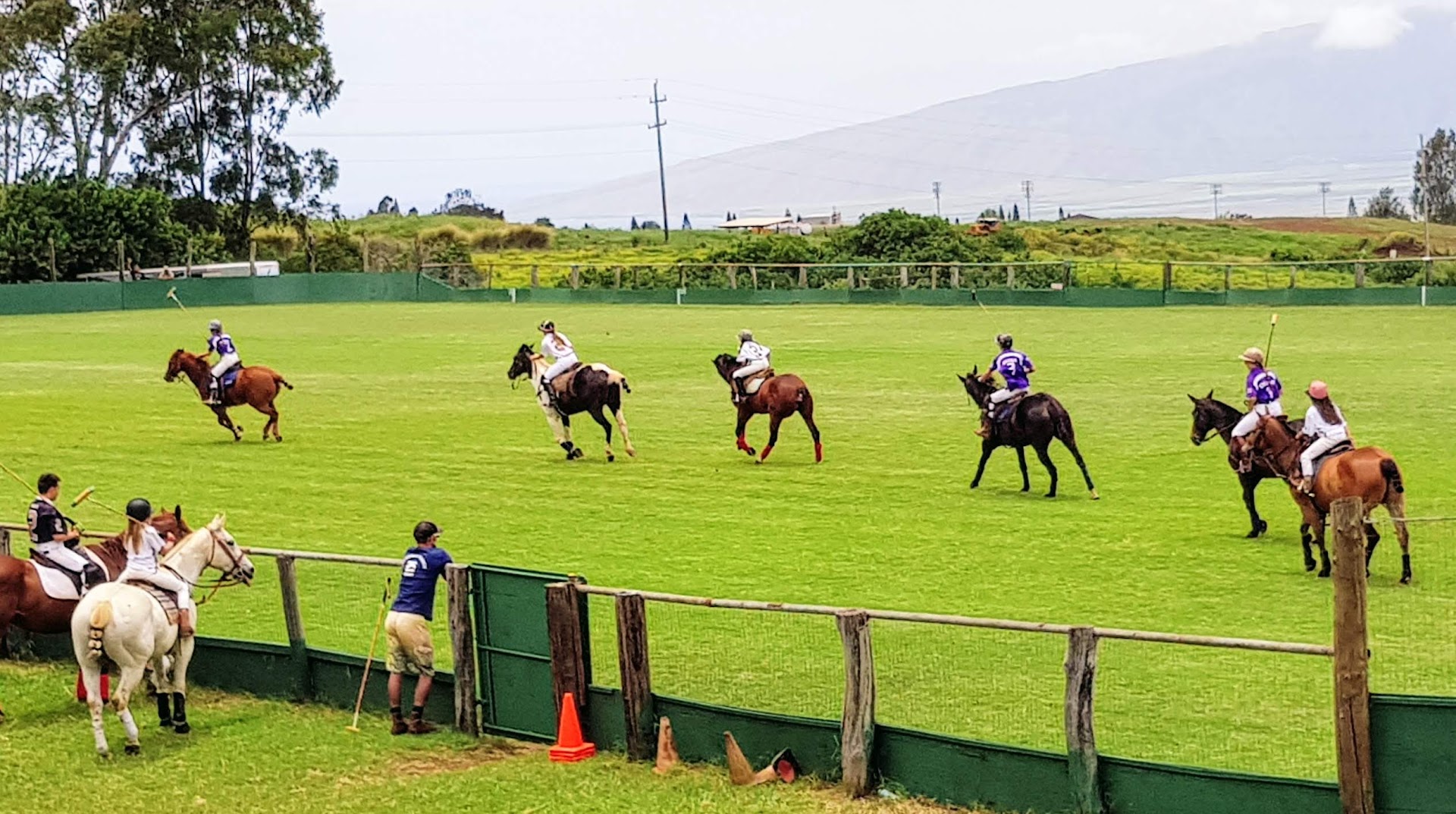 Maui Polo Club Manduke Baldwin Field