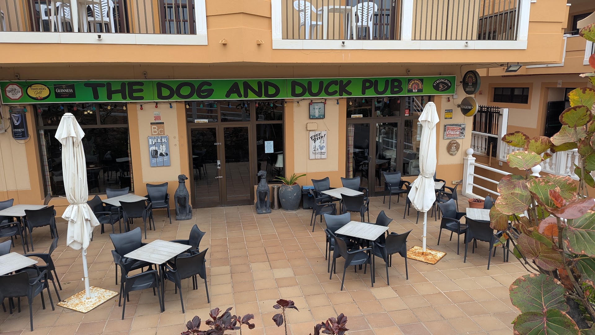 The Dog and Duck Pub