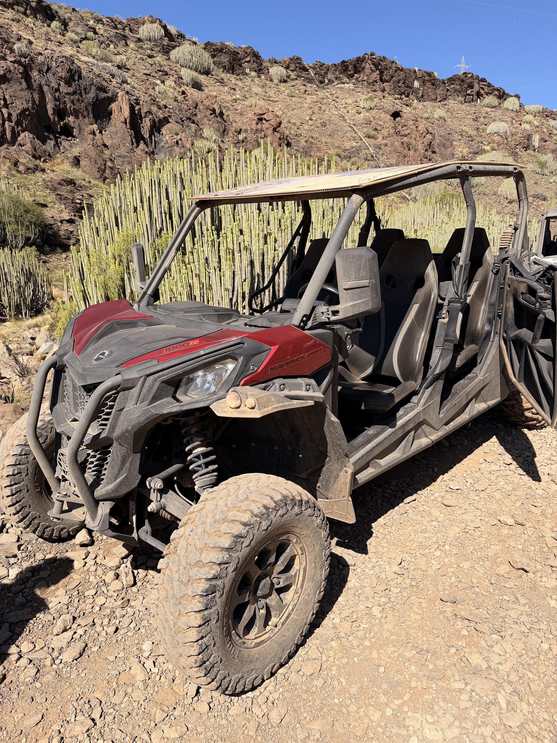 Buggy Meeting Place